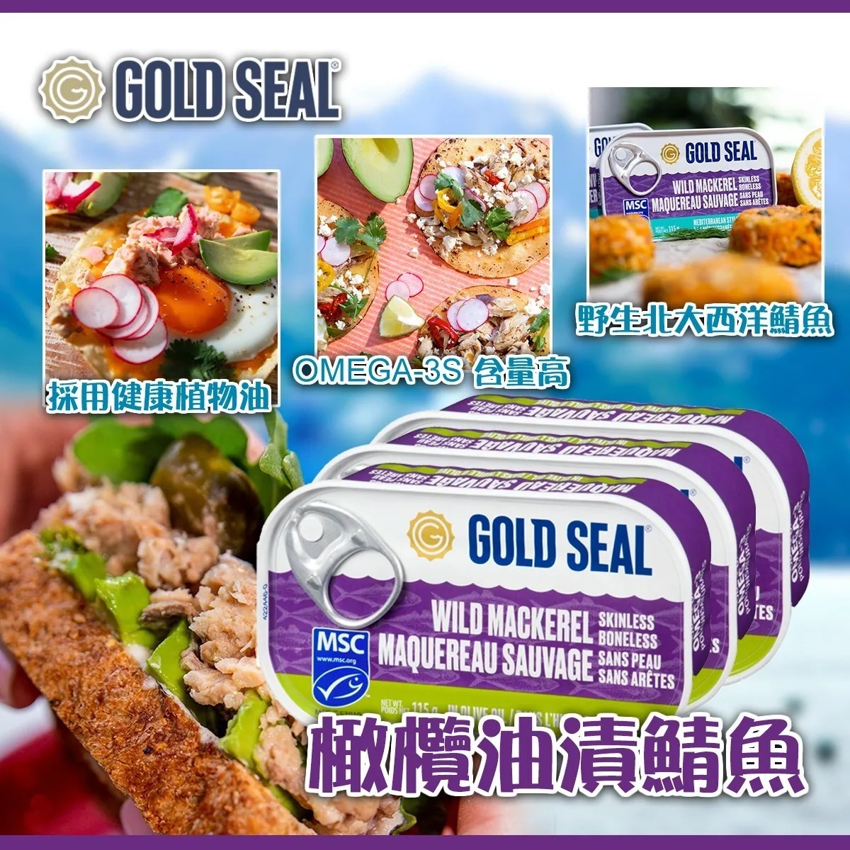 Gold Seal 橄欖油漬鯖魚