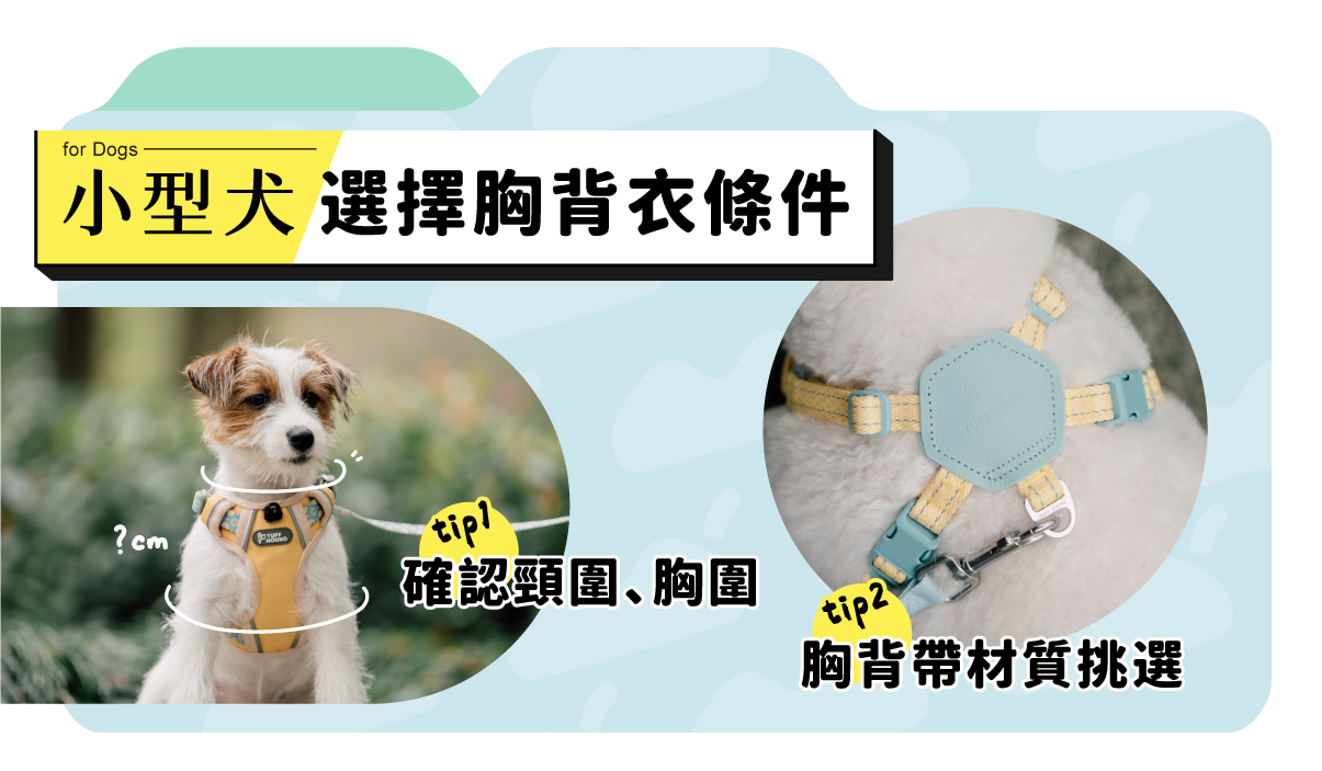 選擇胸背前要注意什麼？