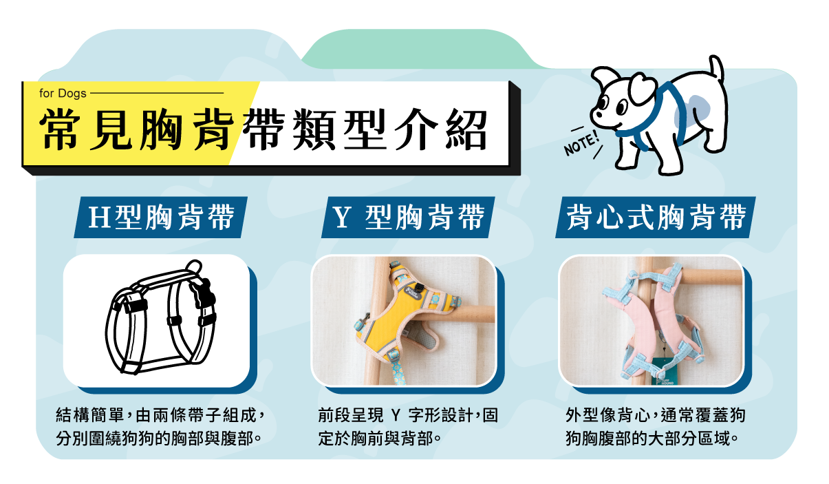 常見胸背帶類型介紹