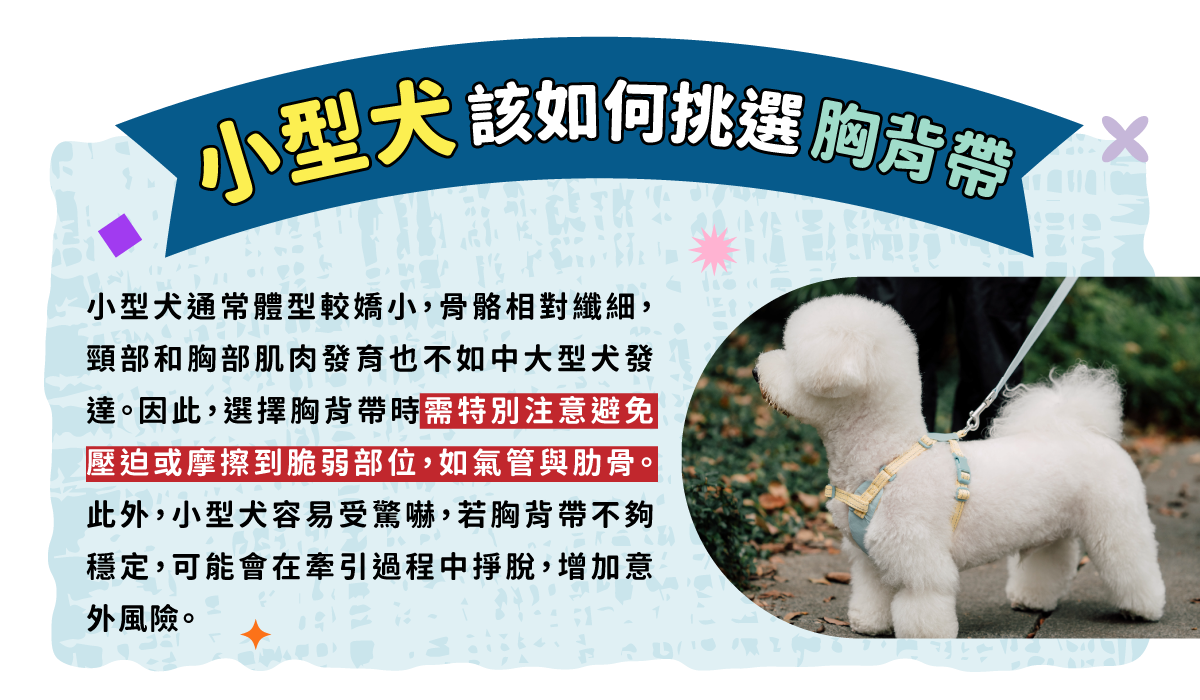 胸背帶完整指南