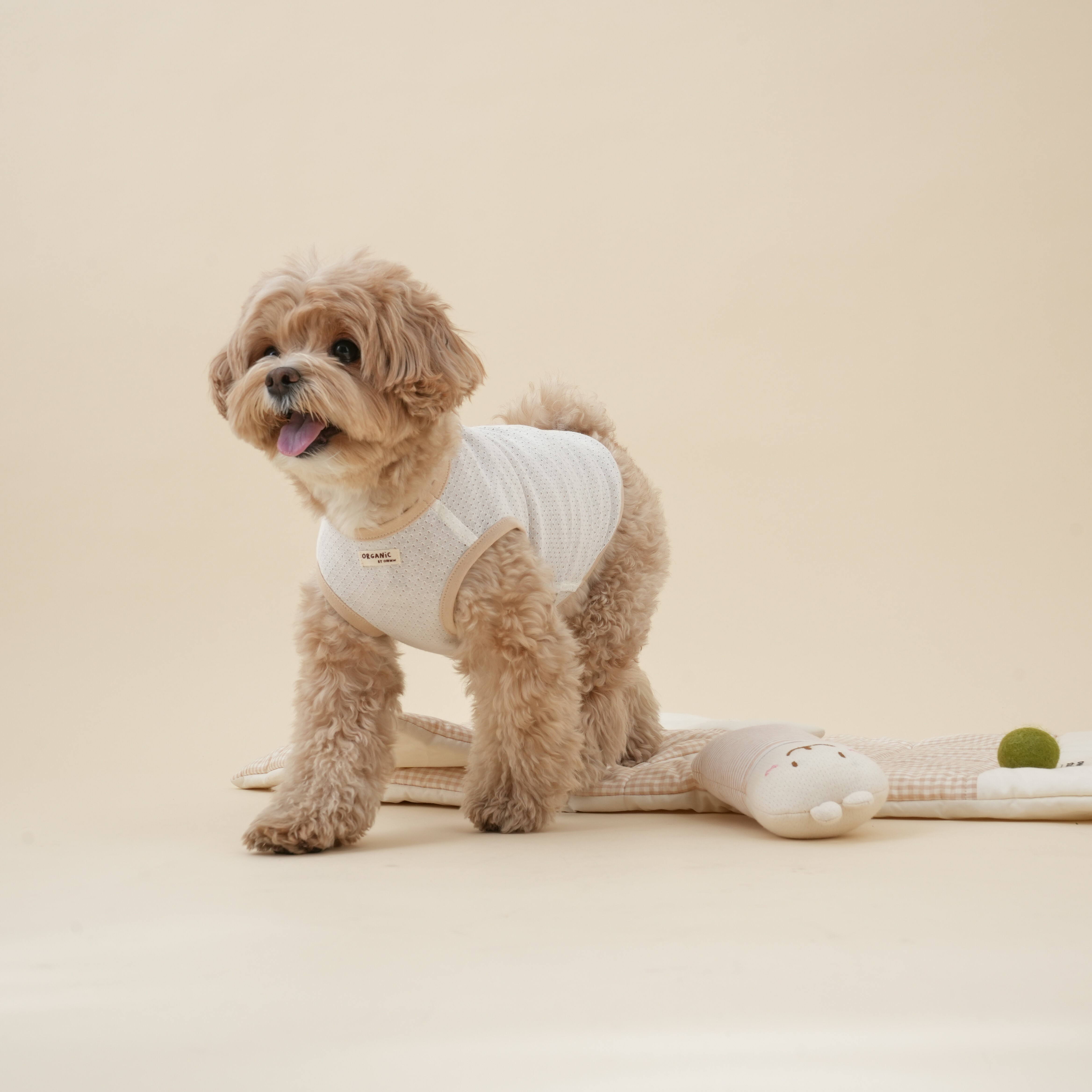 OWWW STUDIO 有機棉透氣背心