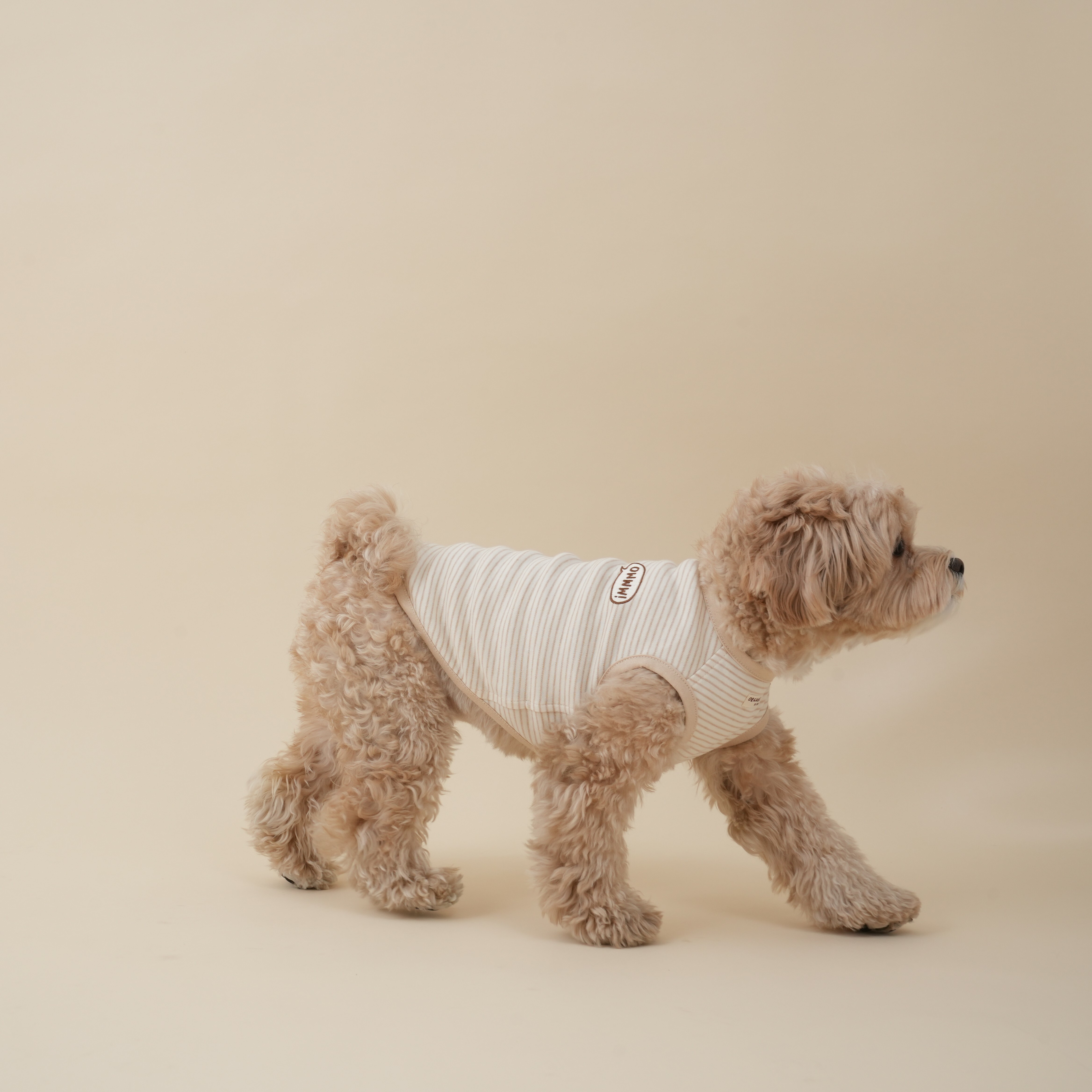 OWWW STUDIO x BLUEBERRY 有機棉背心 (細米棕條紋）