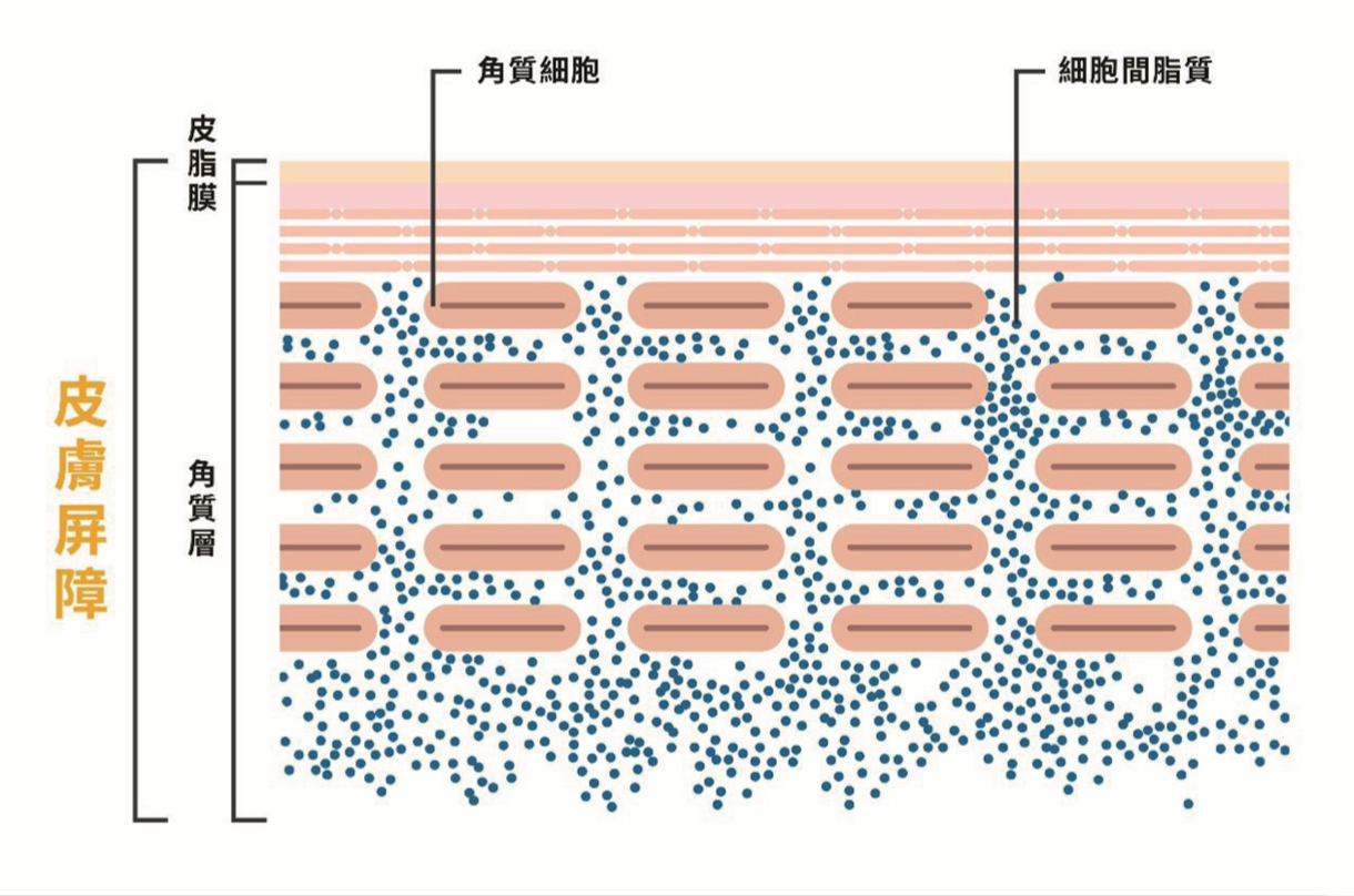 狗異位性皮膚炎