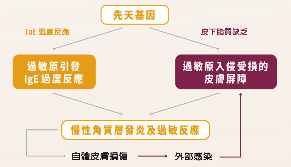 狗異位性皮膚炎外因與內因