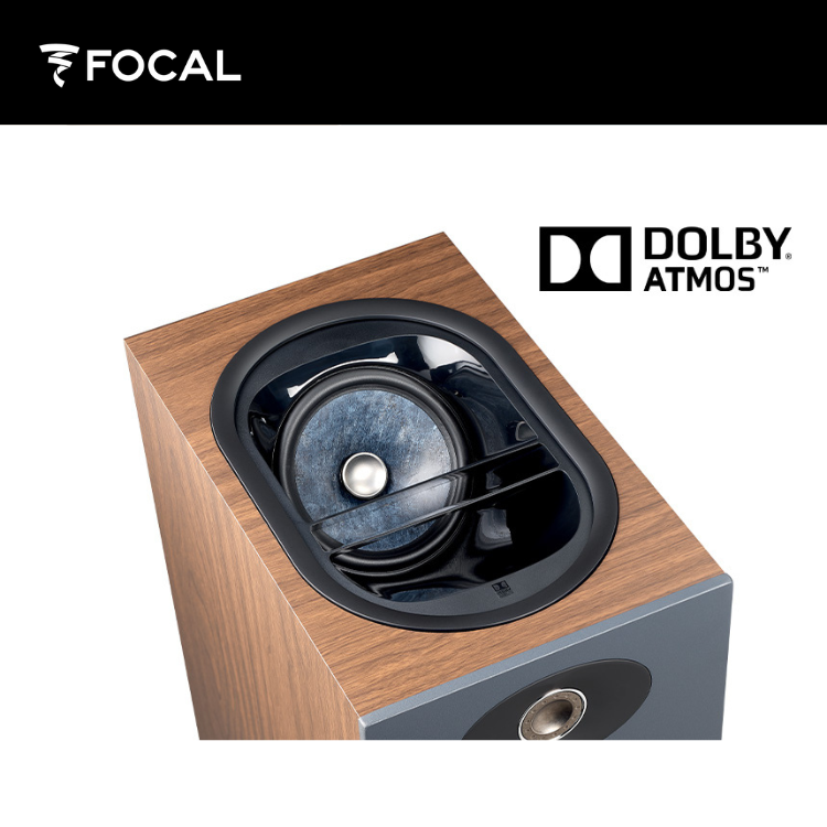 Focal THEVA N°3-D (Pair)