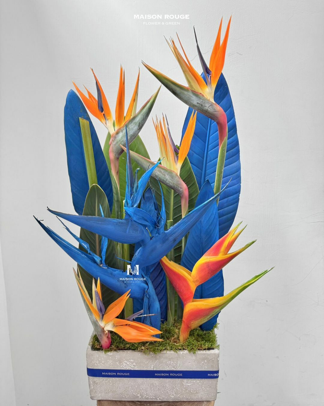 貳樓有花・天堂鳥設計款