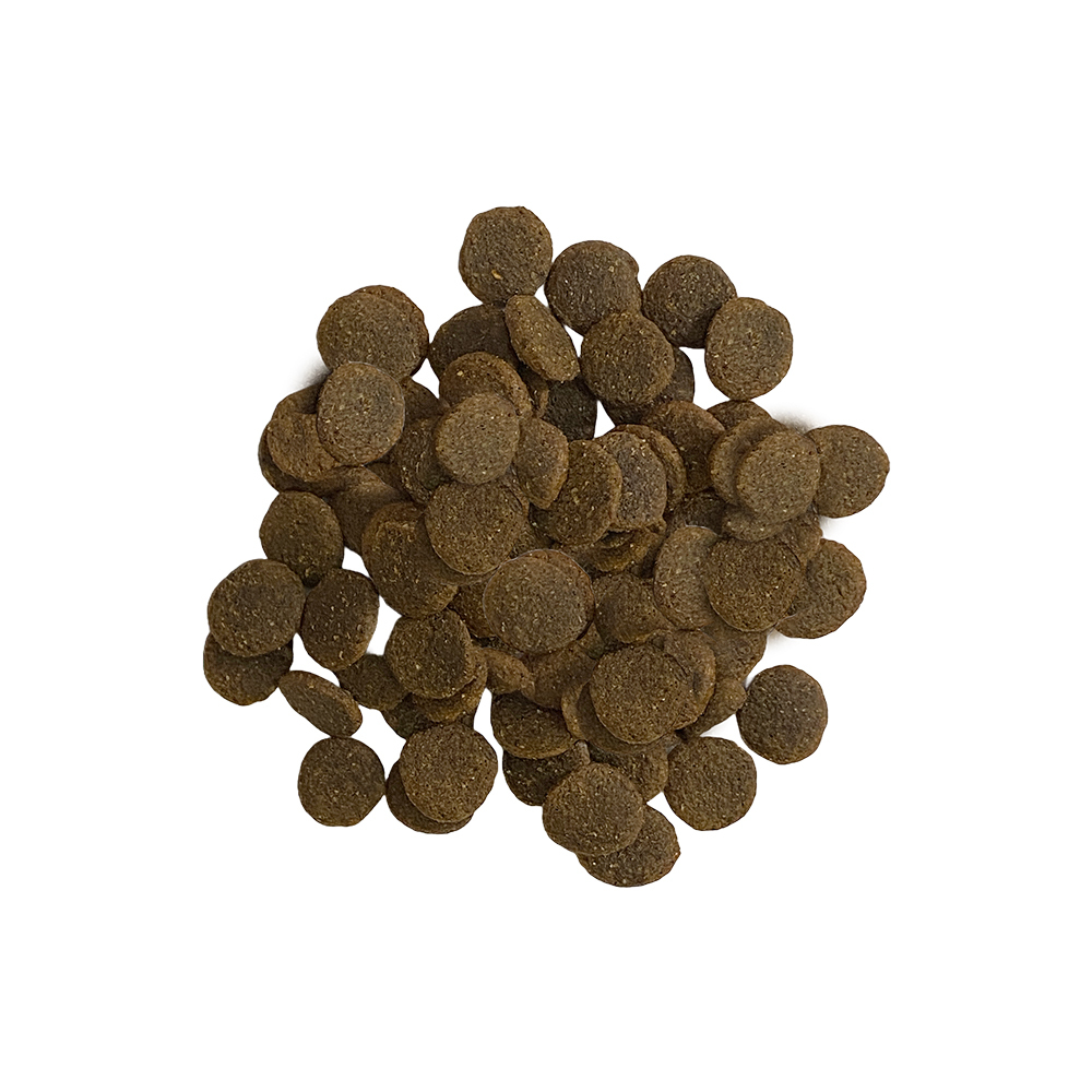 LUCY 魔力寵糧 犬用 無榖超級食物配方 鮭魚雞肉燉南瓜 大顆粒 2kg