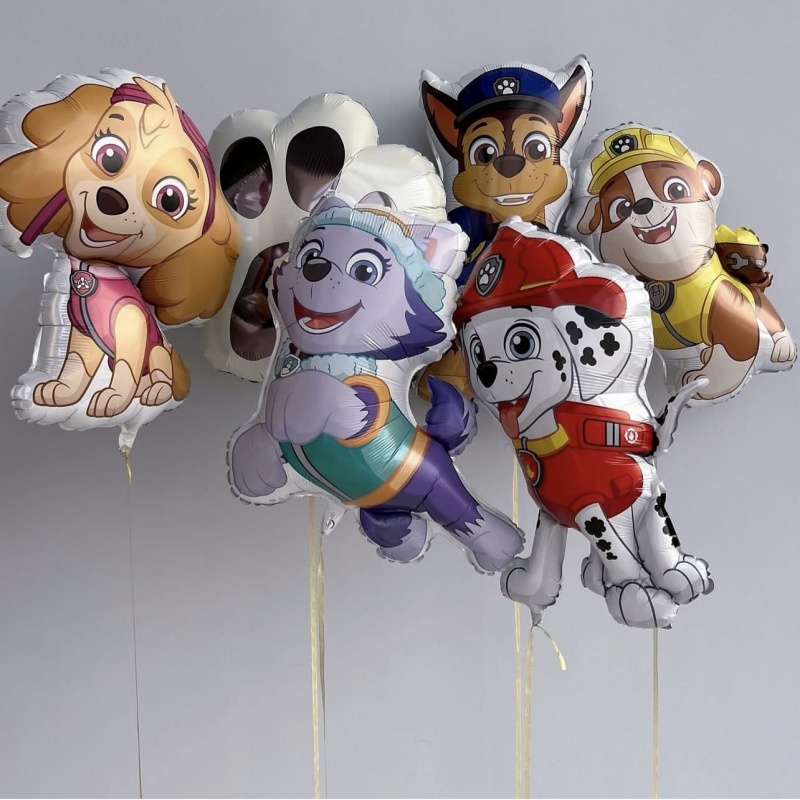 卡通單品丨汪汪隊-珠珠