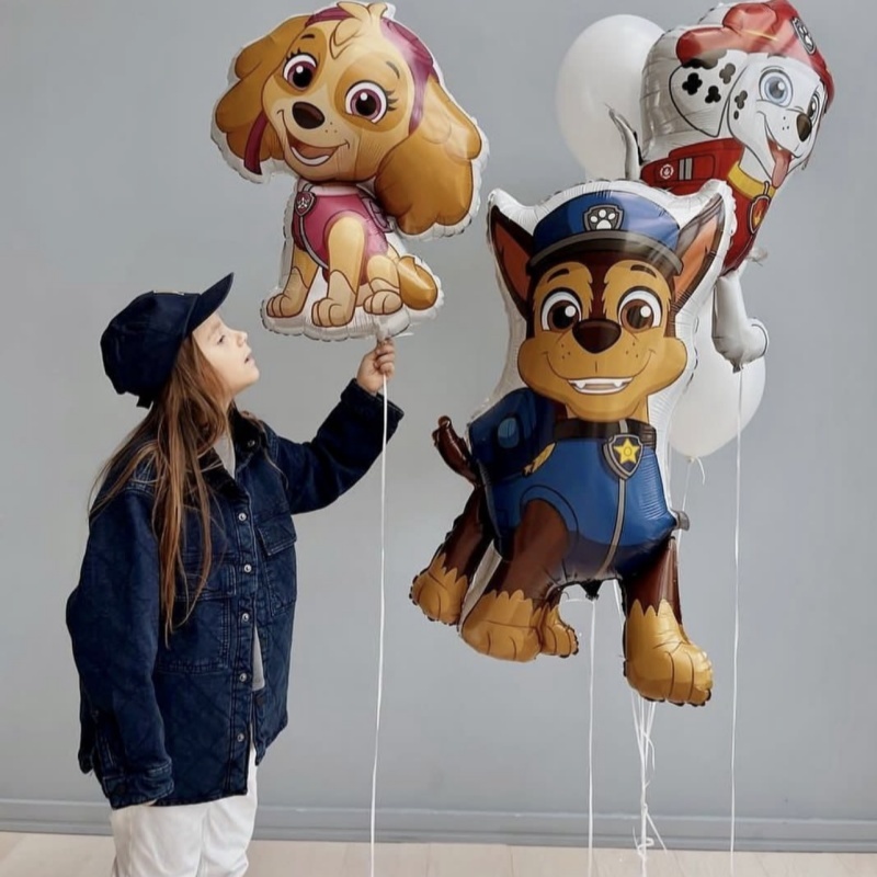 卡通單品丨汪汪隊-毛毛