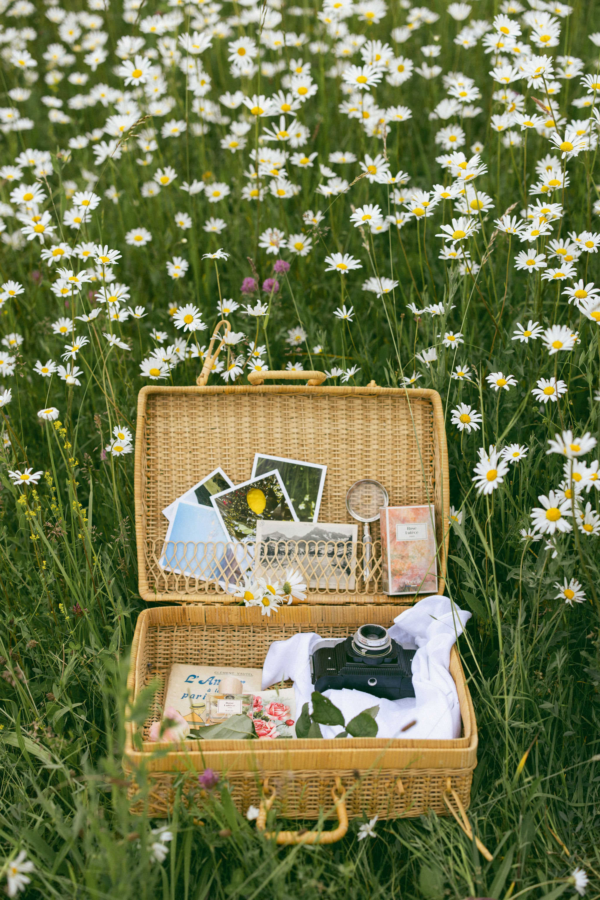 Poécile Rose Lutèce 50ml (玫瑰香根草香味)