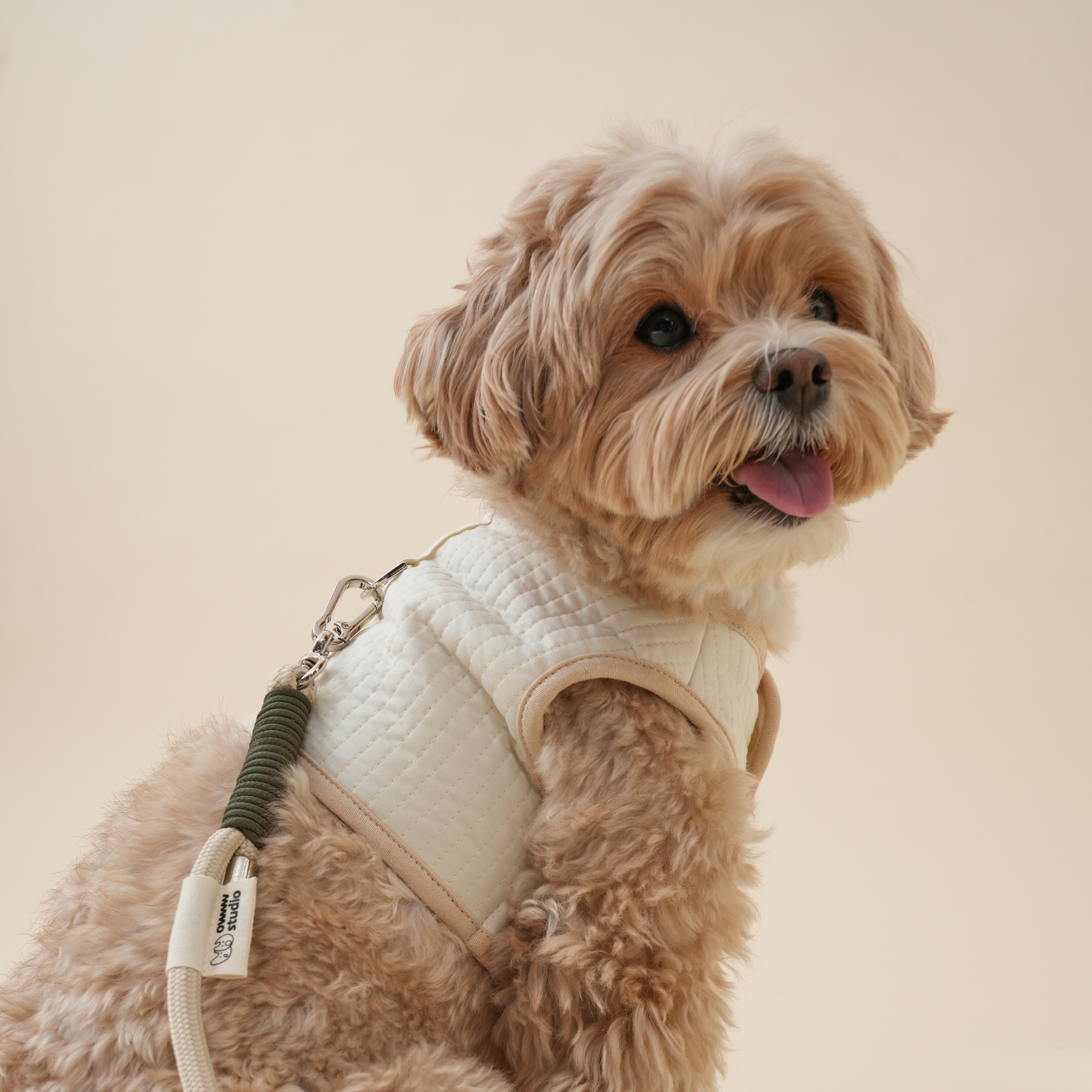 OWWW STUDIO 有機棉胸背