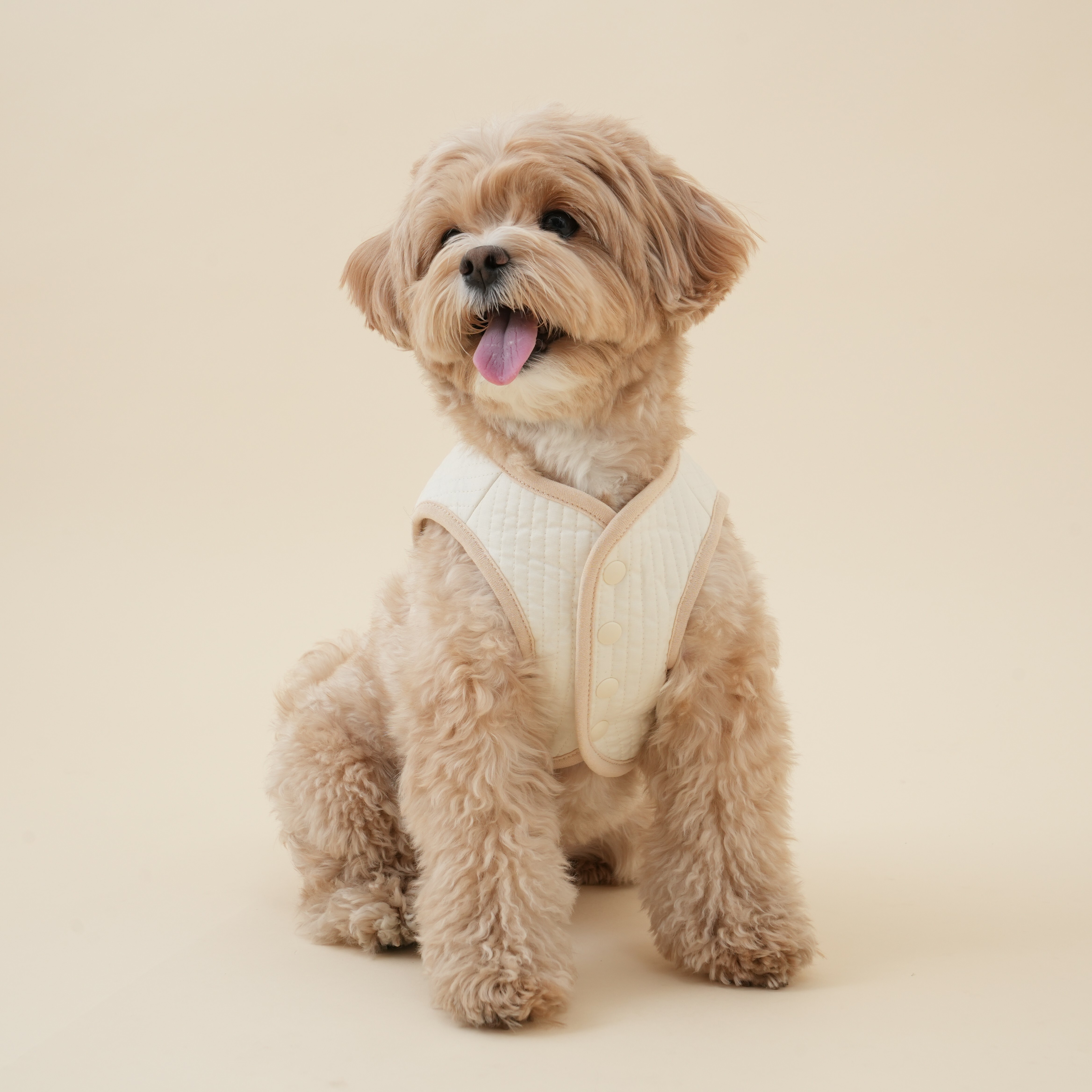 OWWW STUDIO 有機棉胸背