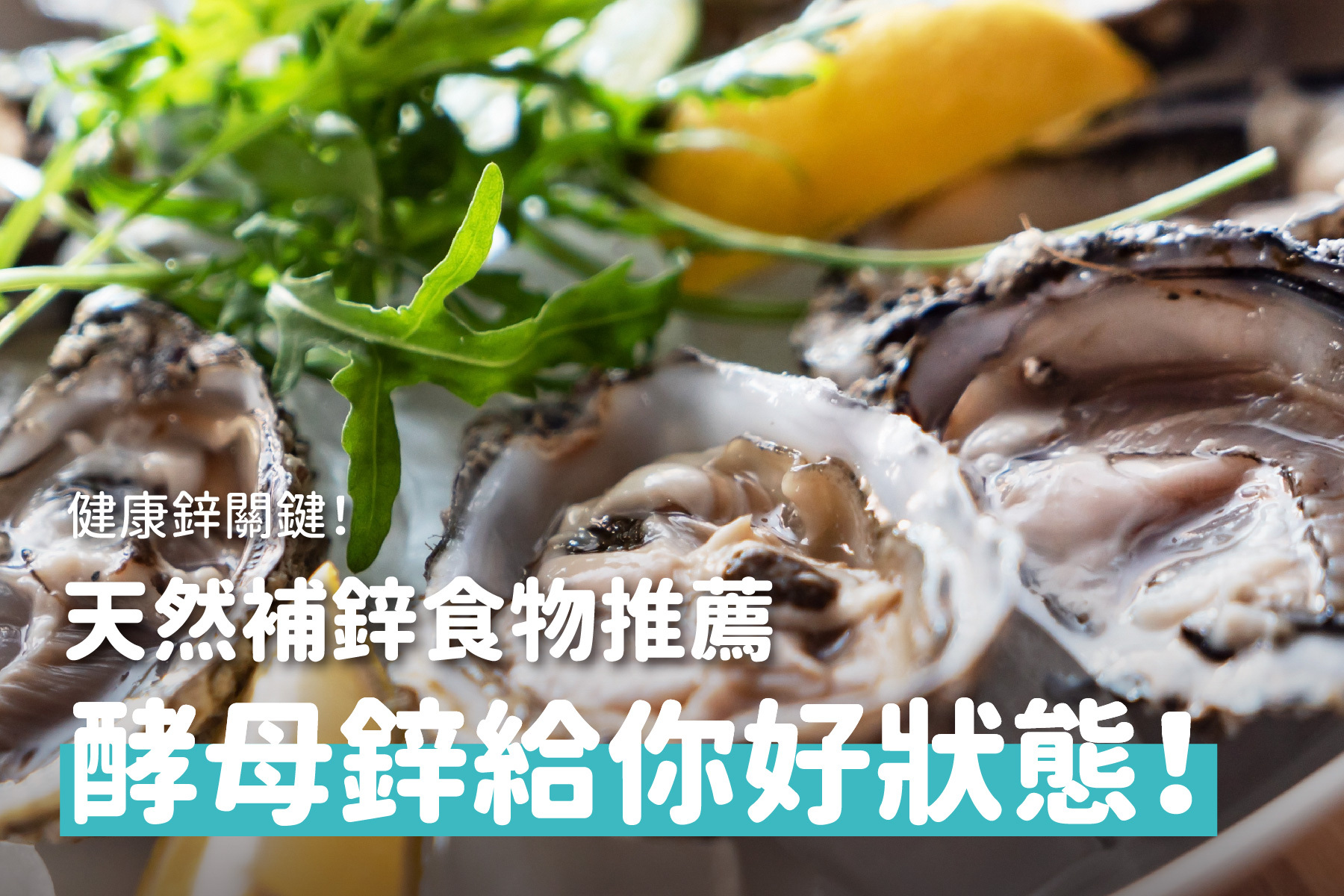 健康鋅關鍵！天然補鋅食物推薦+酵母鋅幫助你維持最佳狀態