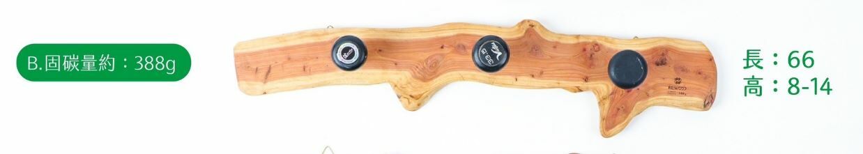 【0307專屬訂單 FB -陳0中】REWOOD棒球握把掛物架B款