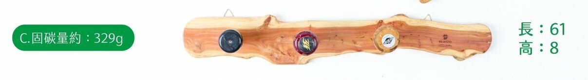 【0307專屬訂單 FB -Y00g-c00ng Hung】REWOOD棒球握把掛物架C款