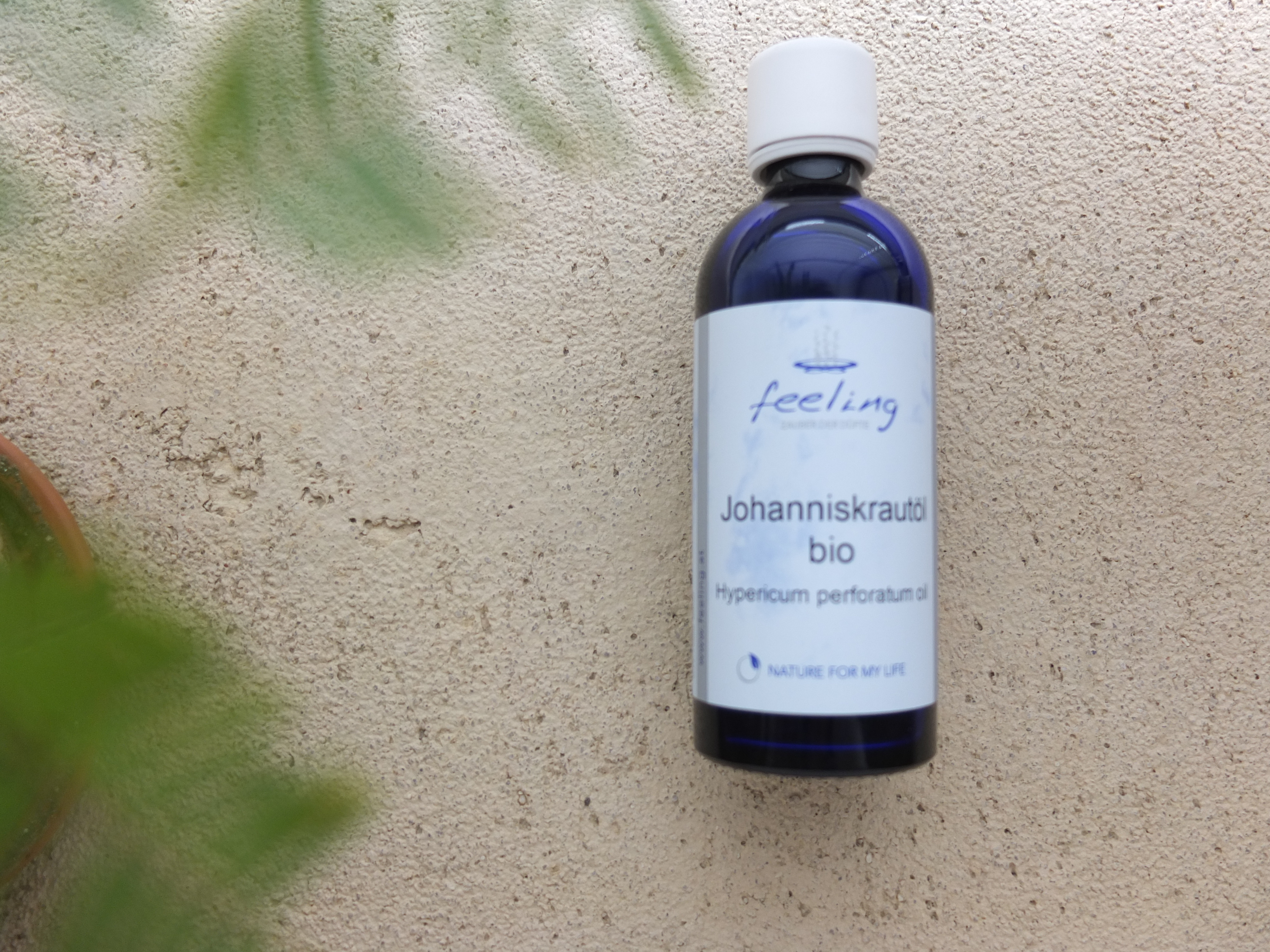 植物油 | 有機聖約翰草浸泡油  St Johns Wort Oil Infused