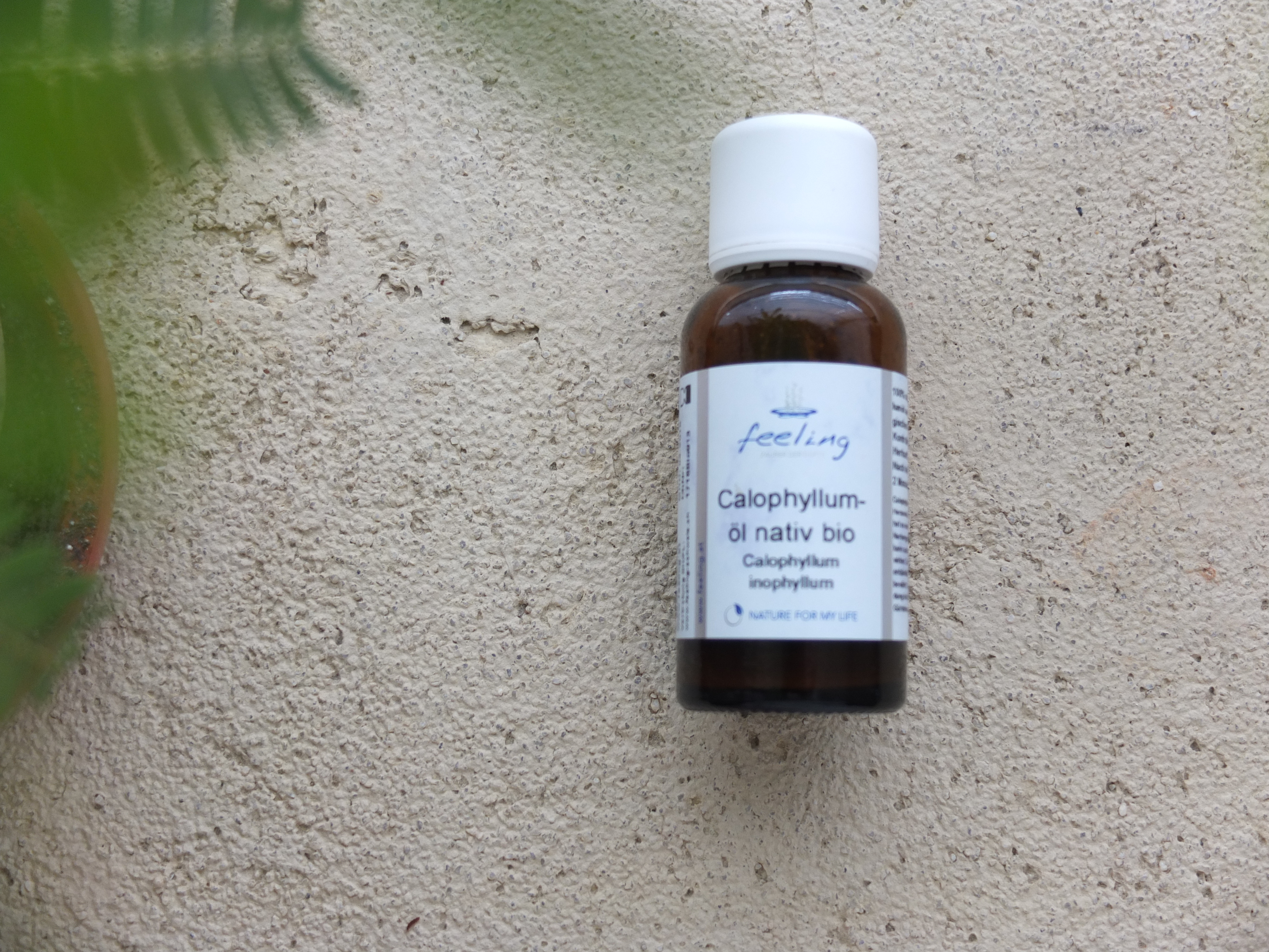 植物油 | 有機初榨瓊崖海棠油  Foraha Oil Virgin *Bio