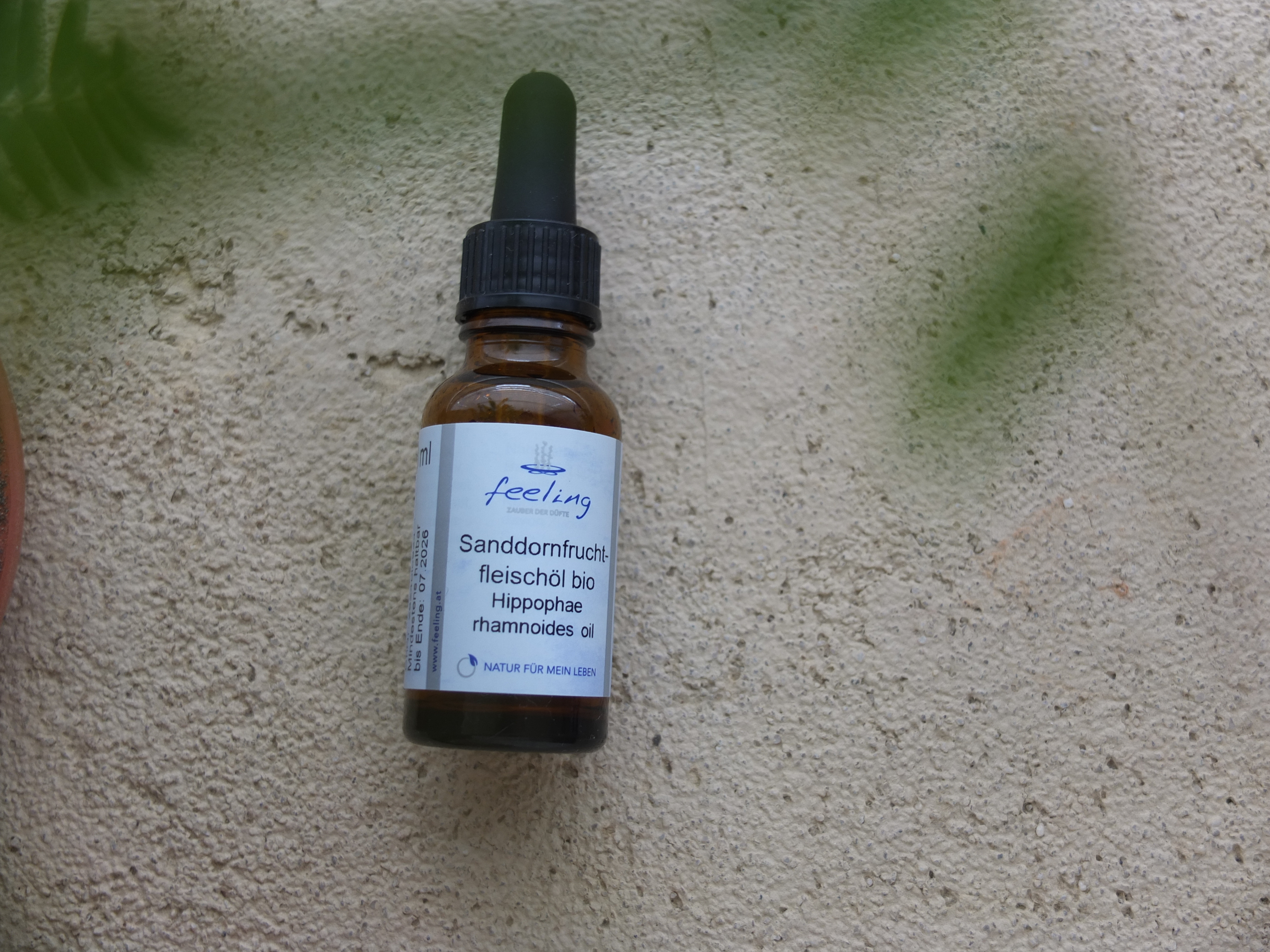 植物油 | 有機沙棘油 Seabuckthorn Oil *Bio