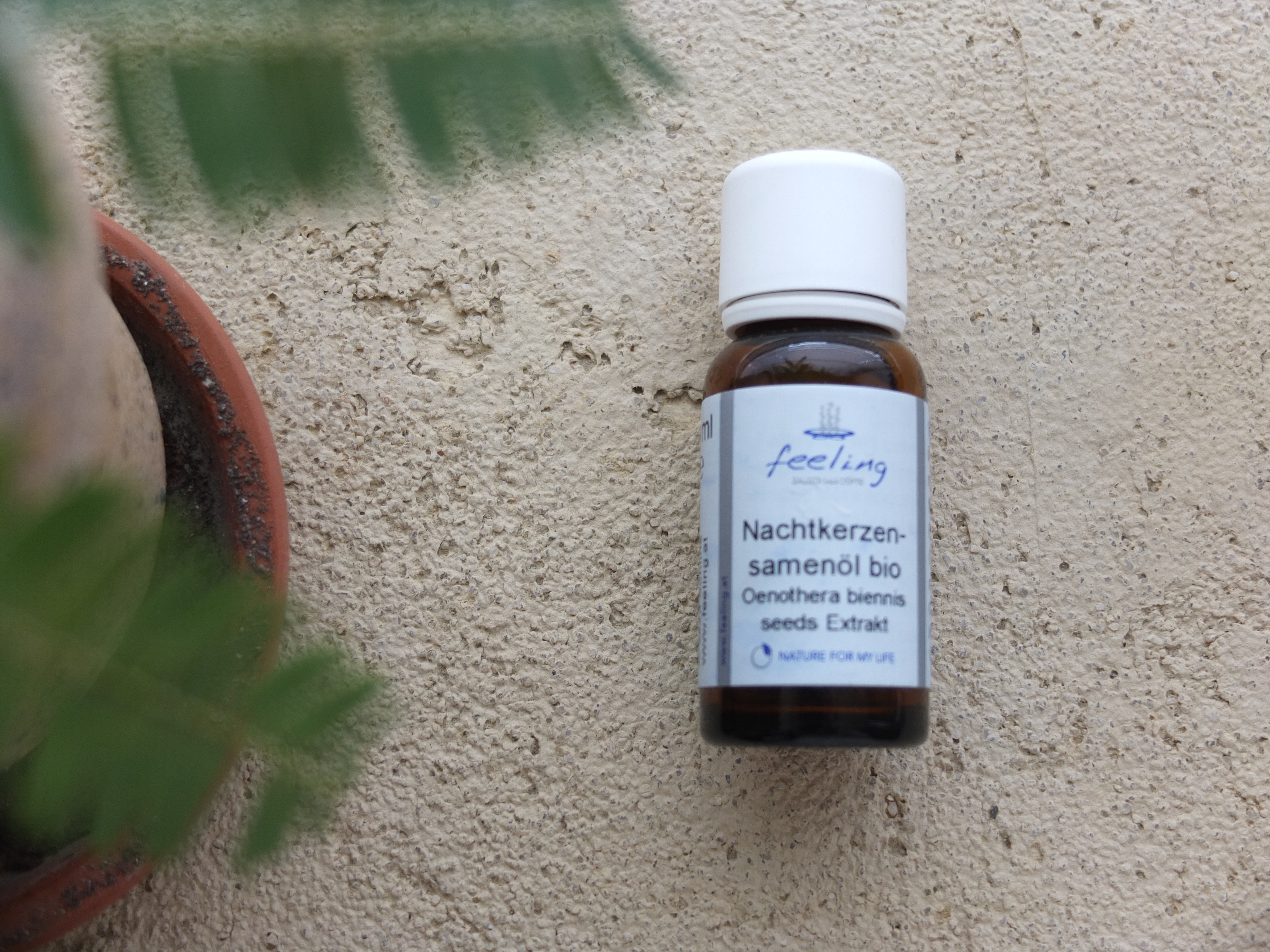 植物油 | 有機月見草油 Evening Primrose *Bio