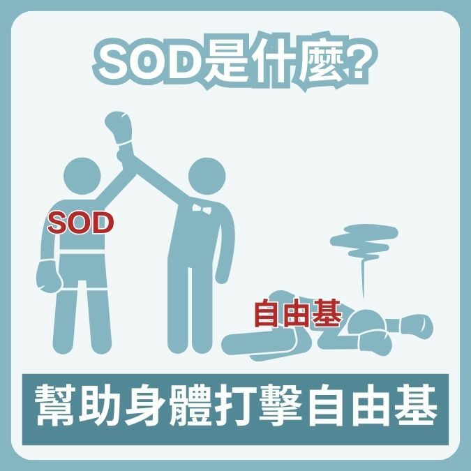 SOD是什麼