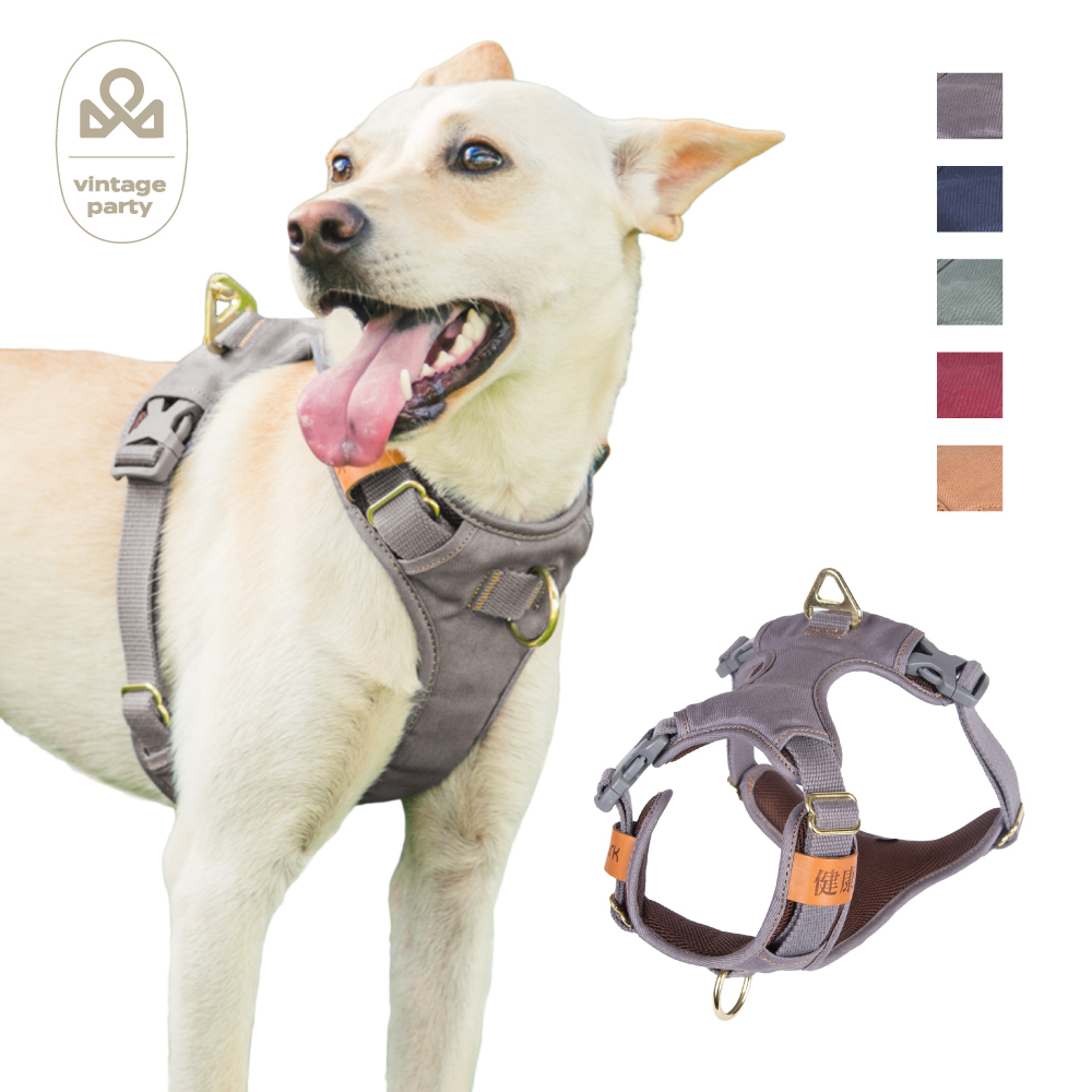 CoolFit 3扣H型胸背帶