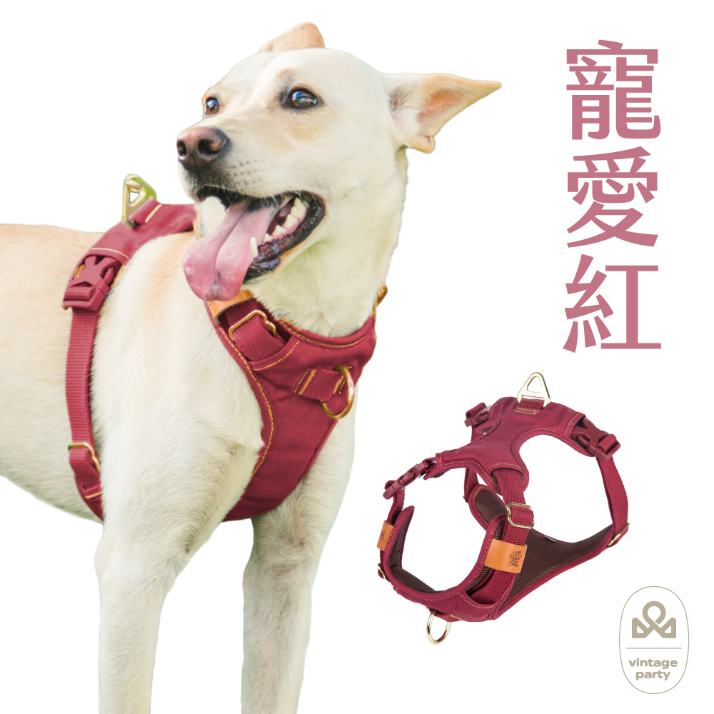 CoolFit 3扣H型胸背帶