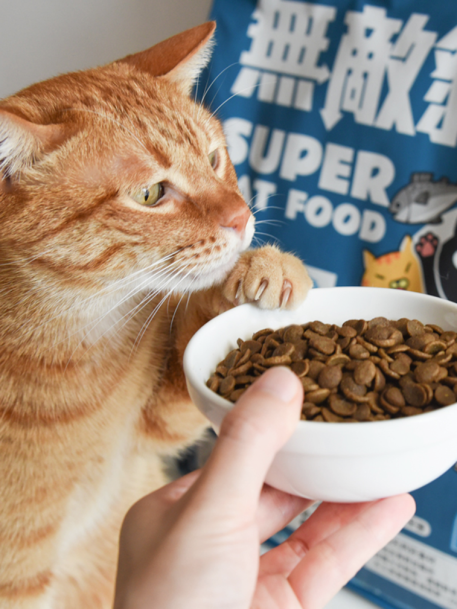 【貓樂園 ParkCat】天然無穀低碳貓糧 大洋鮮極魚｜三效合一保健