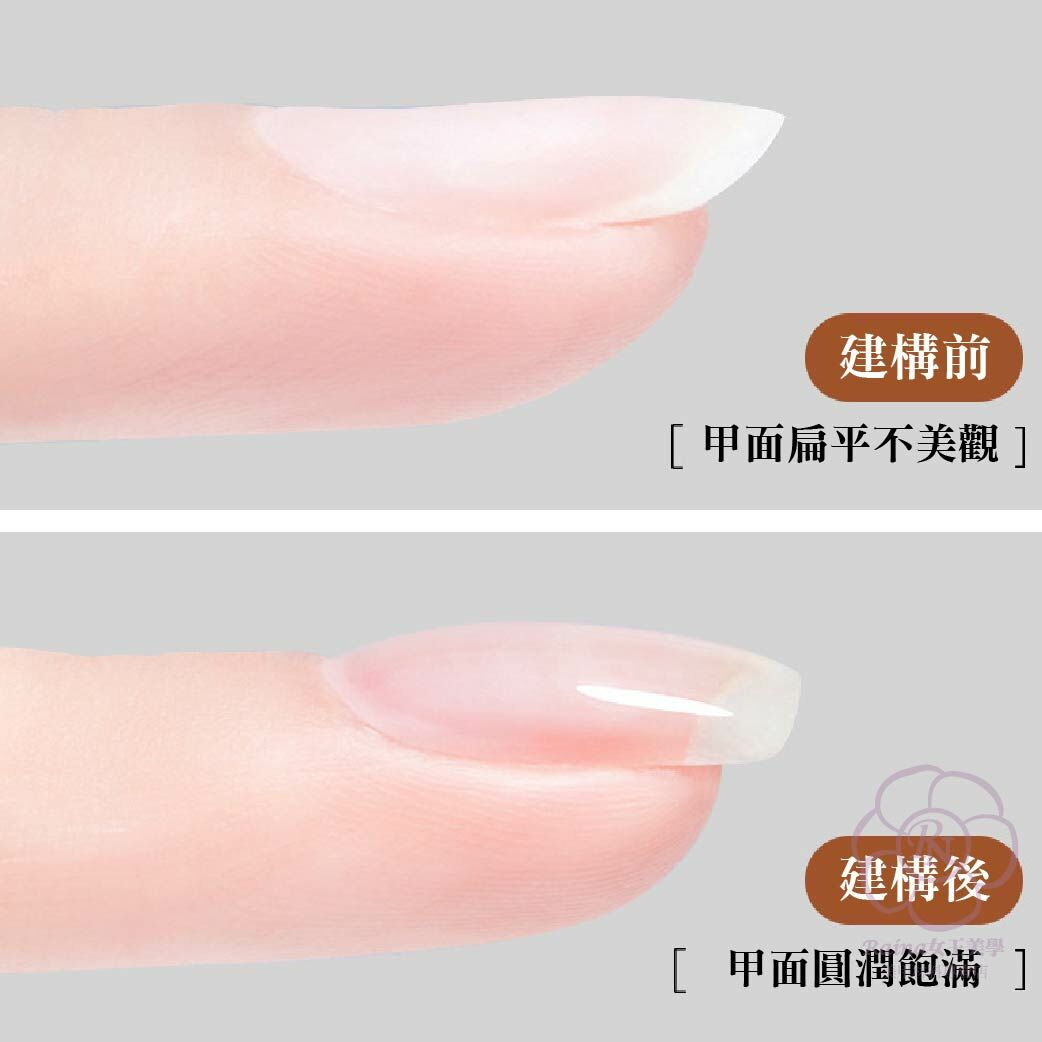 Raina建構膠(新手輕鬆駕馭)