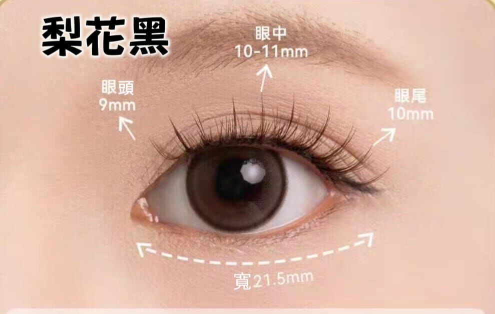 蕉姐好物推介 磁吸眼睫毛（黃色盒/白色盒隨機發貨）（T3 T617）