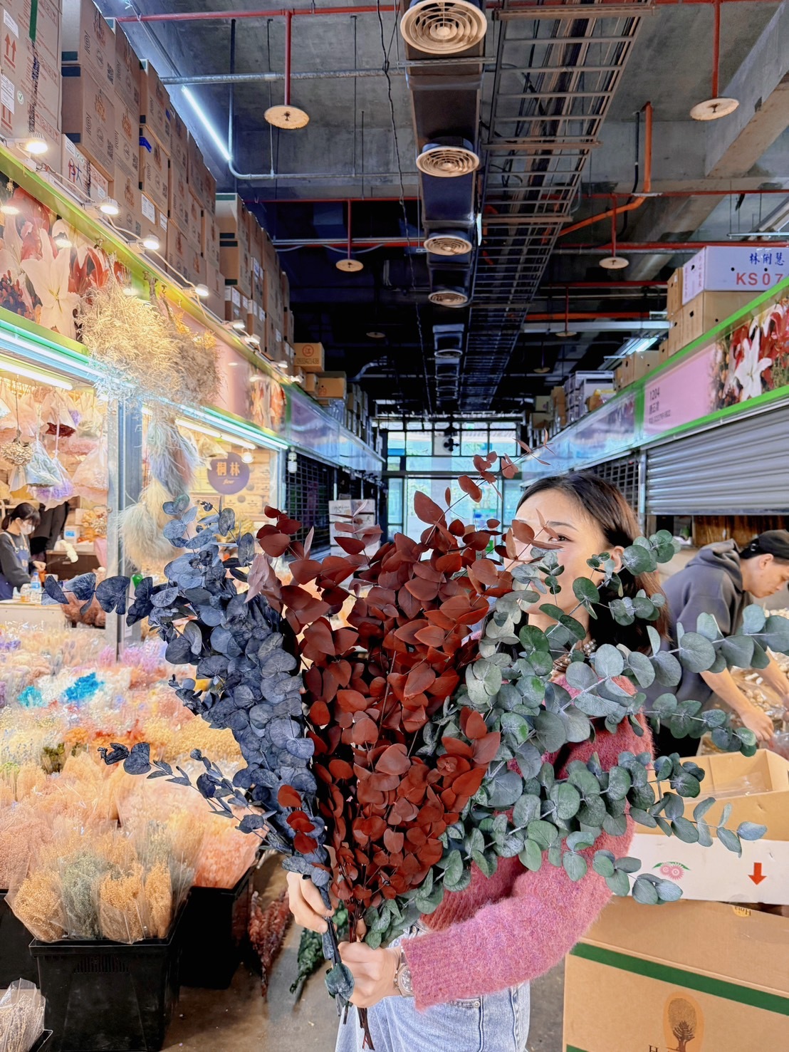 不凋小圓葉尤加利