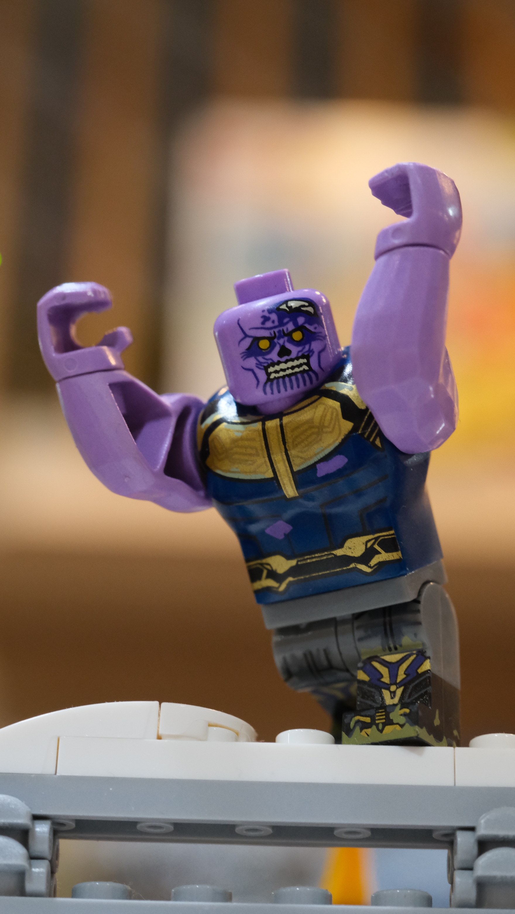 【Earthly brick】薩諾斯