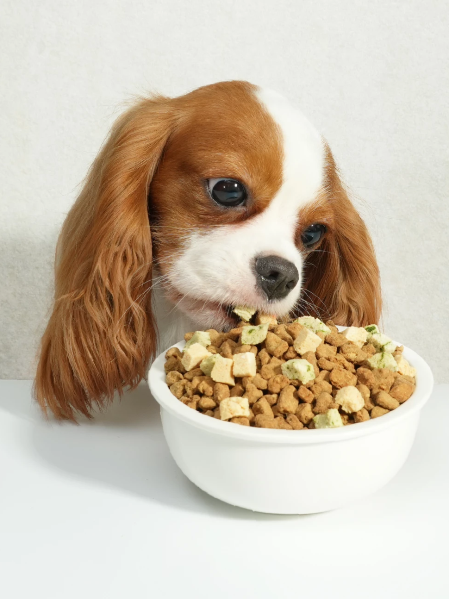 【汪喵星球】犬用 慢烘鮮食蔬肉糧