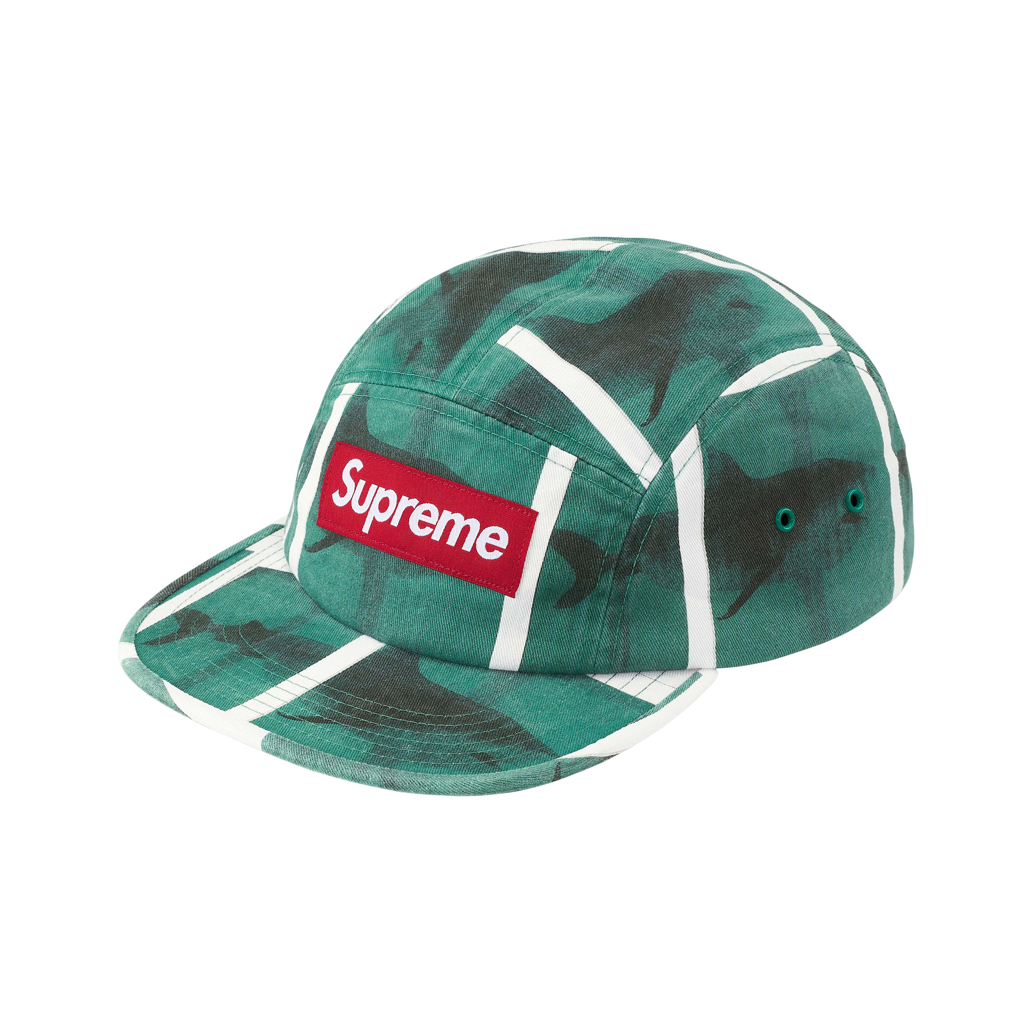 -(B06)-SUPREME / DAMIEN HIRST CAMP CAP SS25 藝術家聯名款 六分割帽 山羊/鯊魚-SS25H79