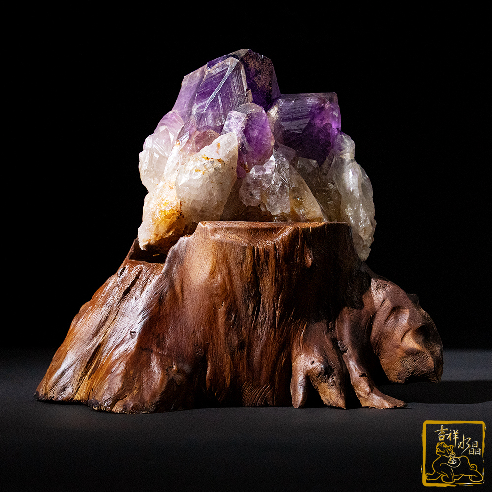 剛果紫水晶簇 723g 文昌鼎盛