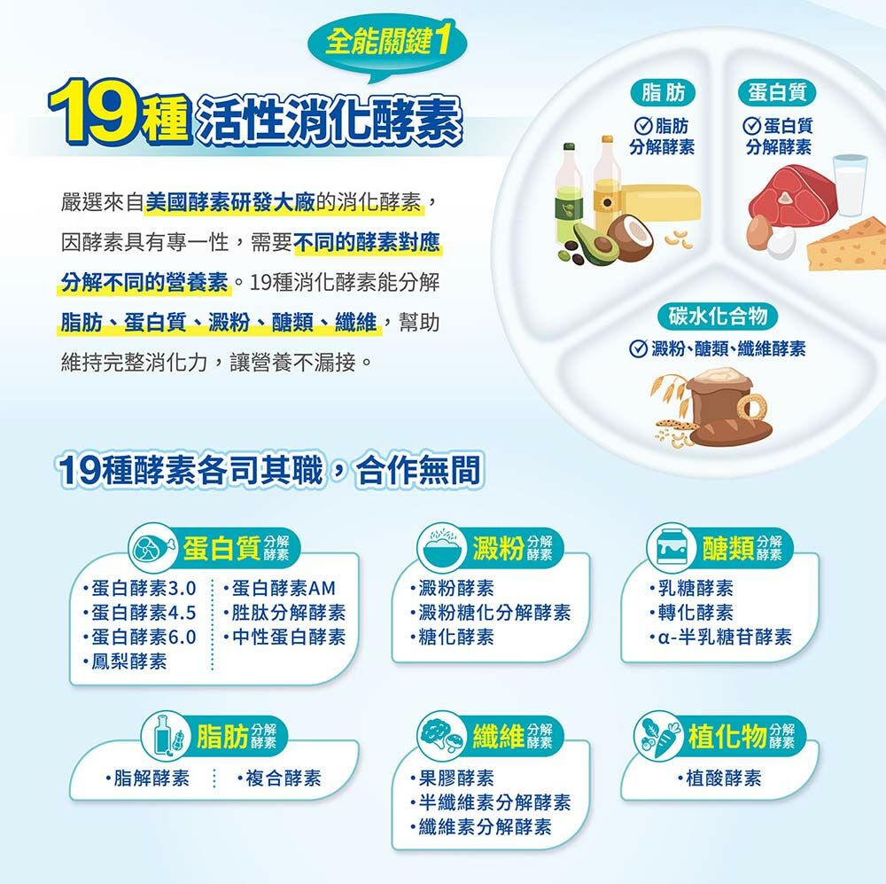 桂格康研家消化菌粉,全能關鍵1,擁有19種活性消化酵素,嚴選來自美國酵素研發大廠的消化酵素,因酵素具有單一性,需要不同的酵素對應分解不同的營養素。19種消化酵素能分解脂肪、蛋白質、澱粉、醣類、纖維,幫助維持完整消化力,讓營養不漏接!