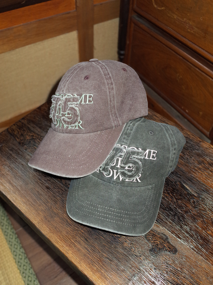 ASP75 sewing embroidery washed cap