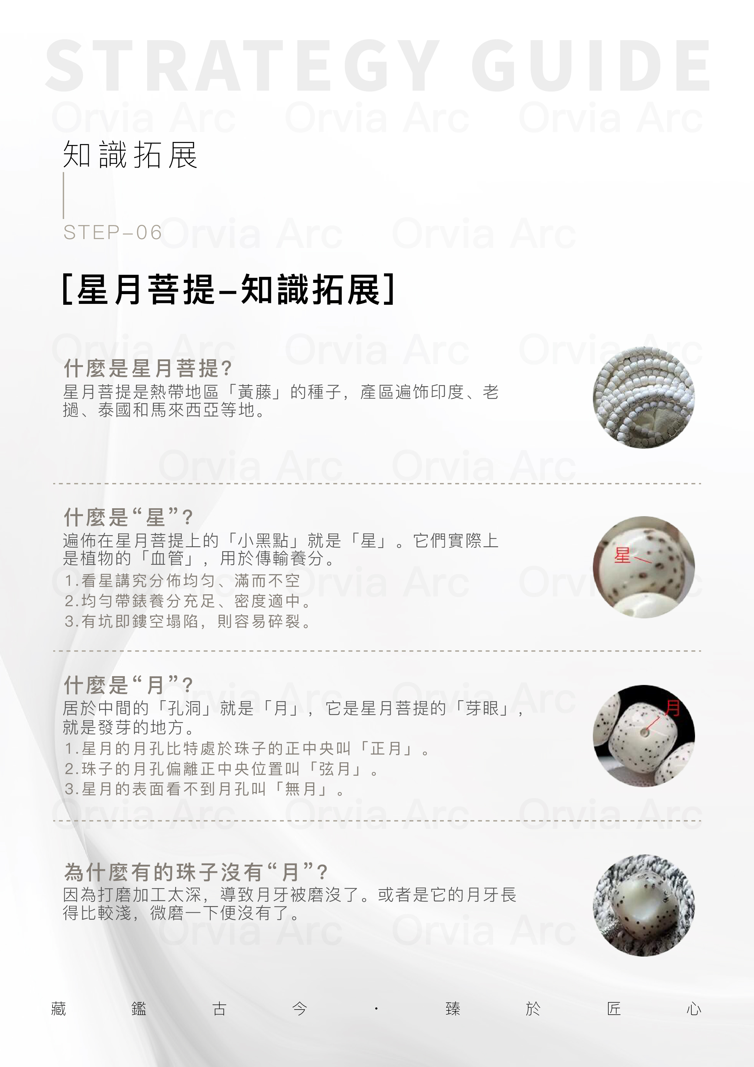 星月菩提知識拓展，星、月、連星、月朗星稀等概念詳解。