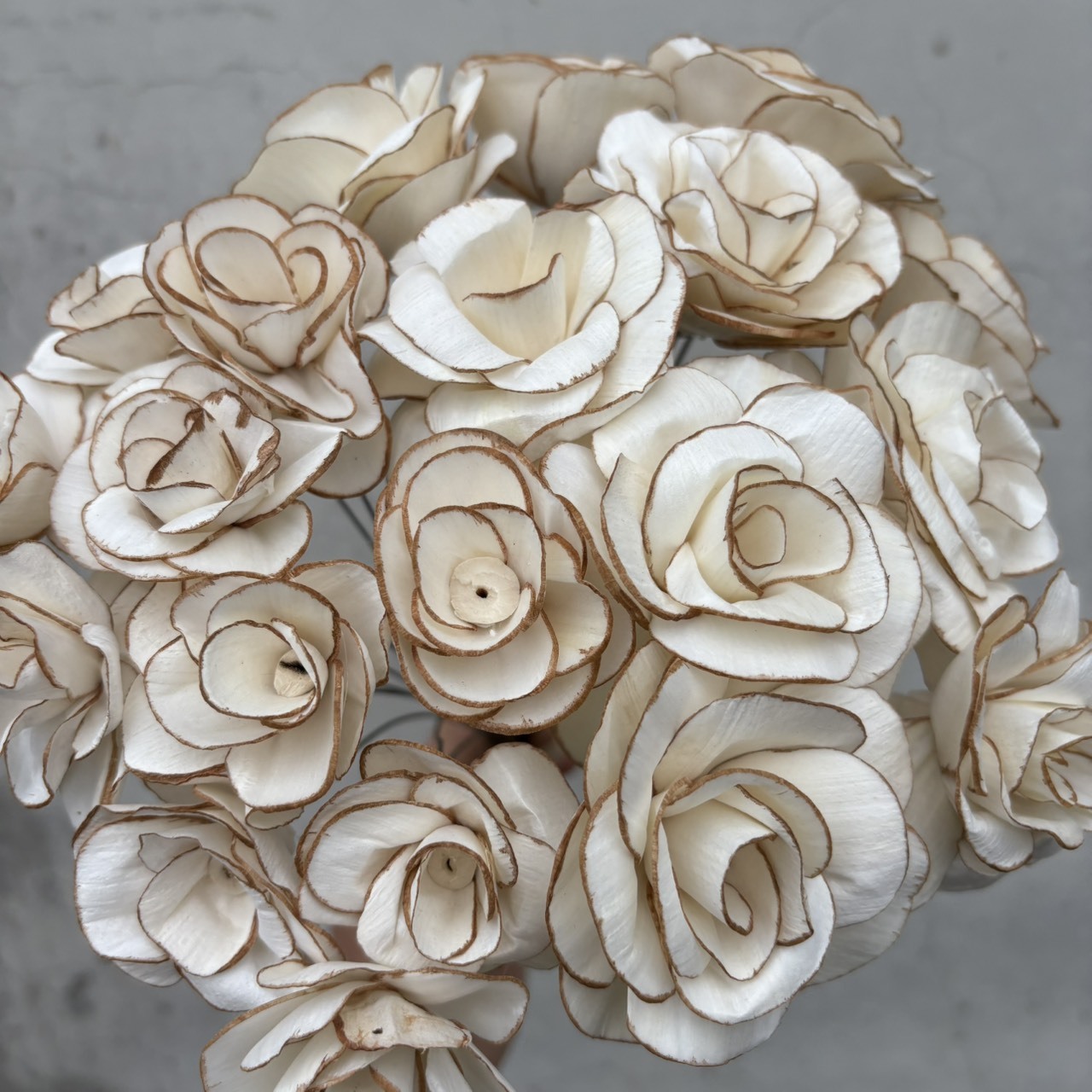 乾燥山嵐玫瑰索拉花