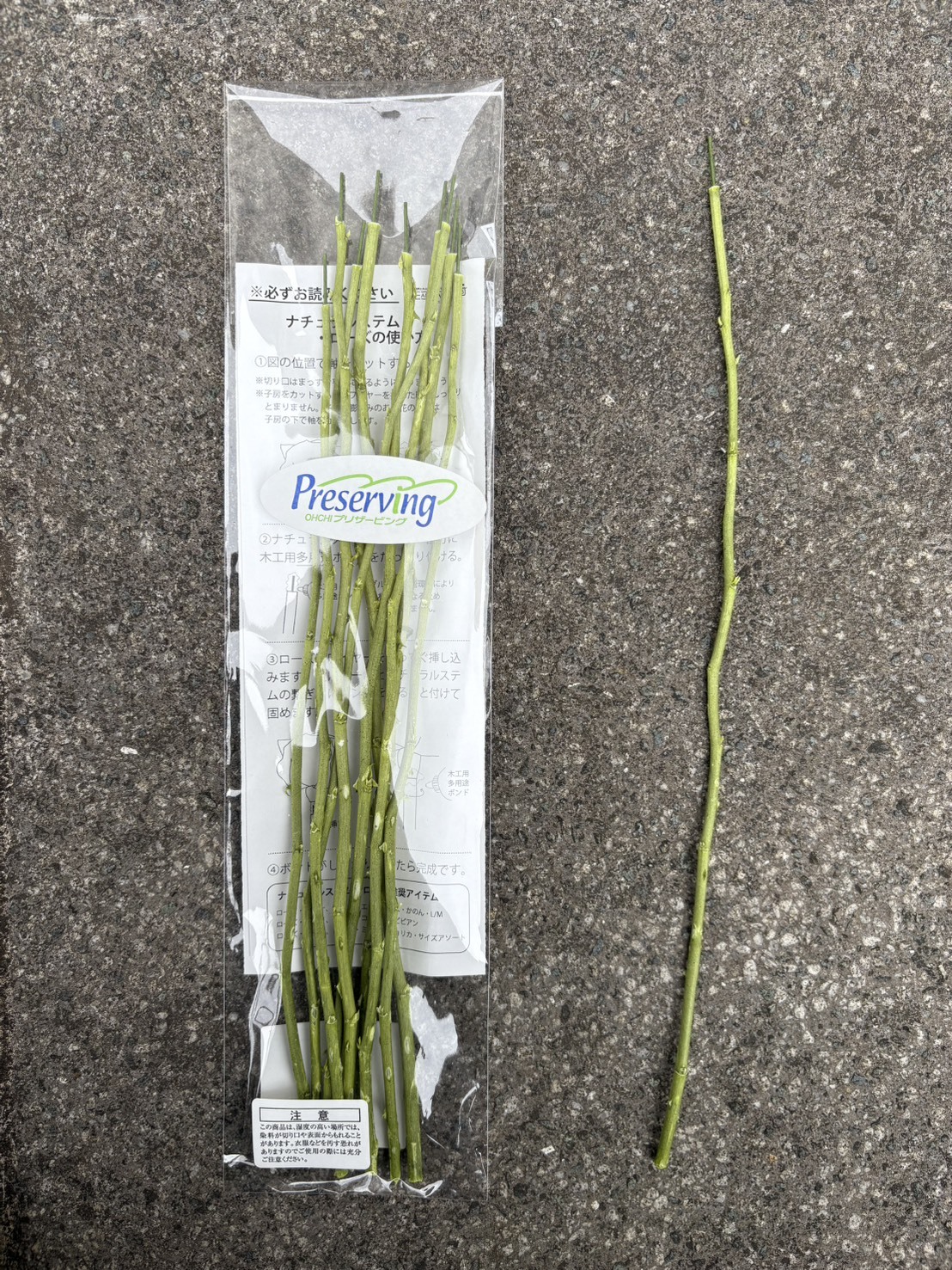 天然玫瑰花莖(綠)