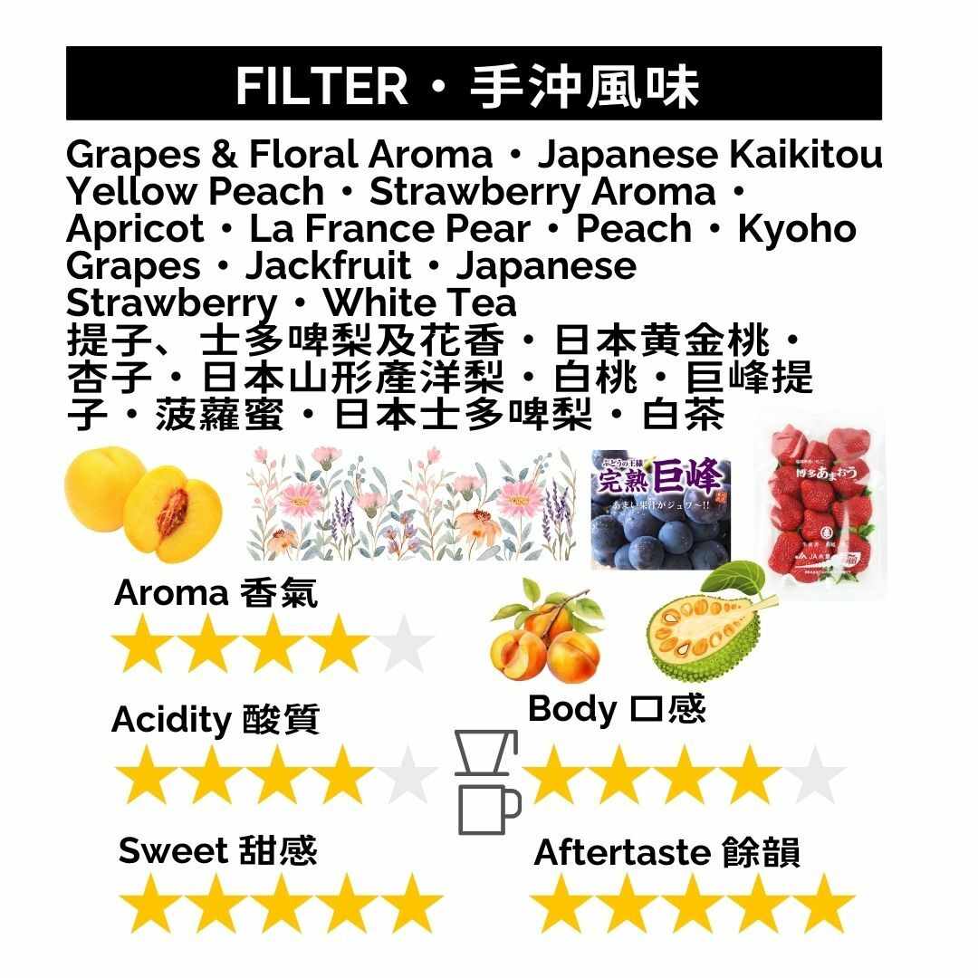 GBX001 巴拿馬 黛博拉莊園 涅槃 瑰夏/藝伎 競賽級批次