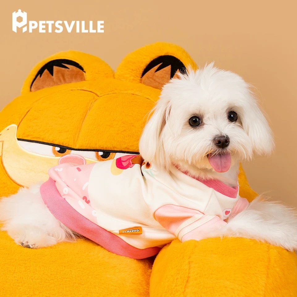 PETSVILLE派思维加菲猫联名 加菲猫卫衣 尺寸表在最后一张图