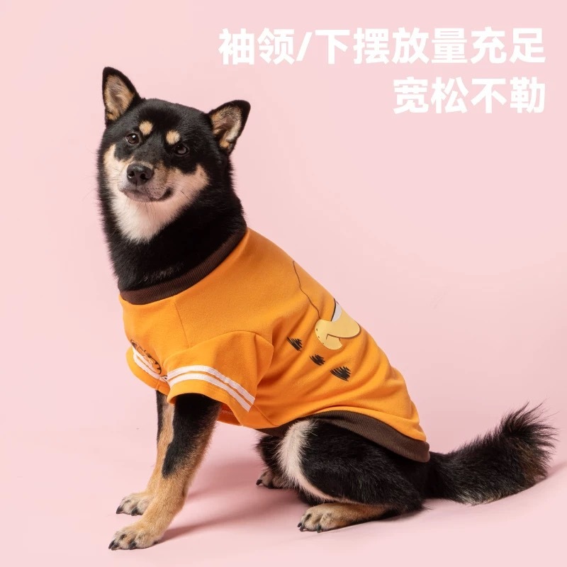 PETSVILLE派思维加菲猫联名 加菲猫卫衣 尺寸表在最后一张图