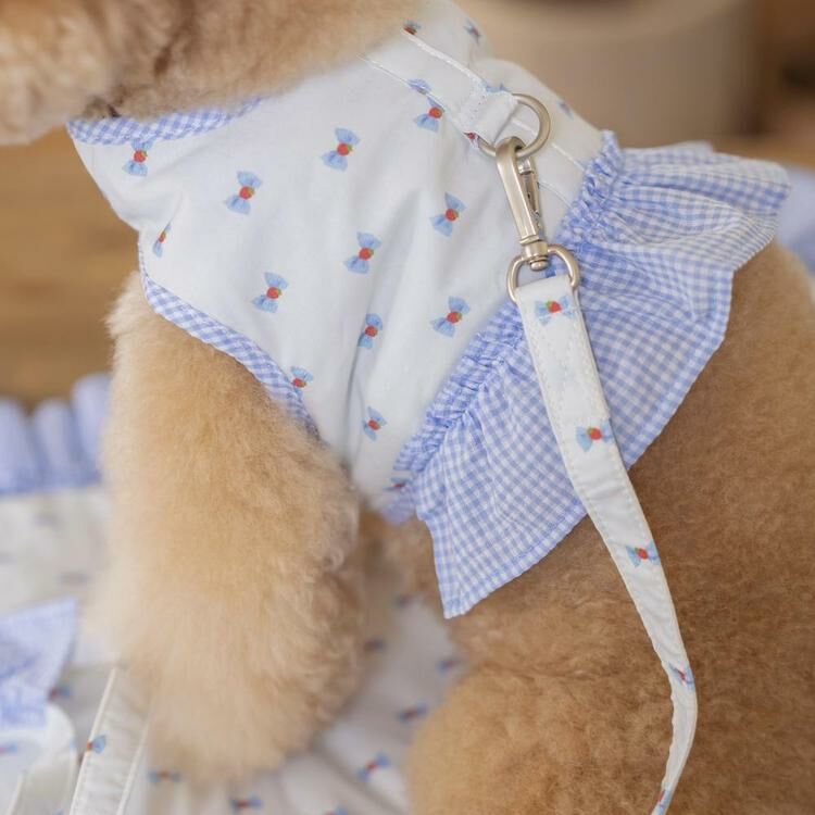 OPAAAP XOXO 糖果拉繩