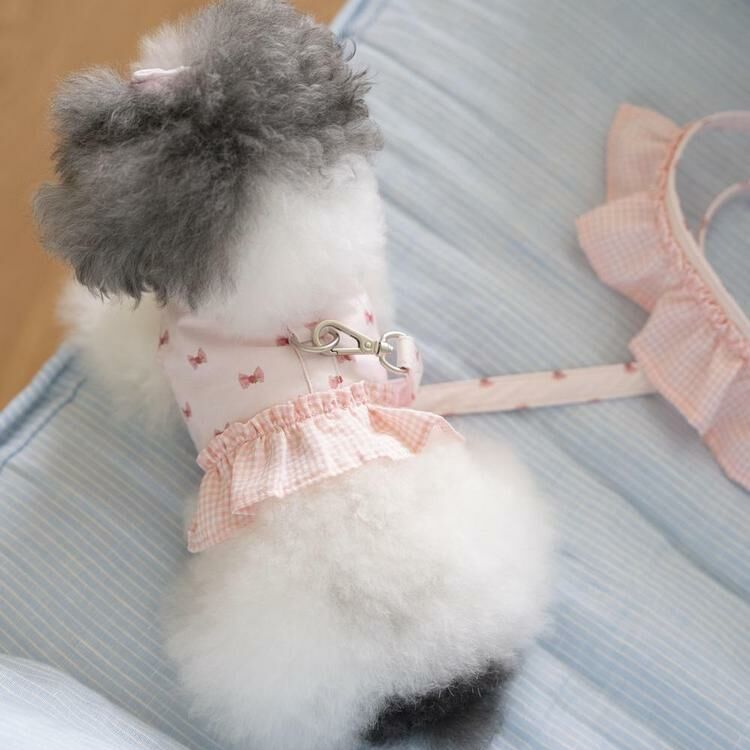 OPAAAP XOXO 糖果拉繩