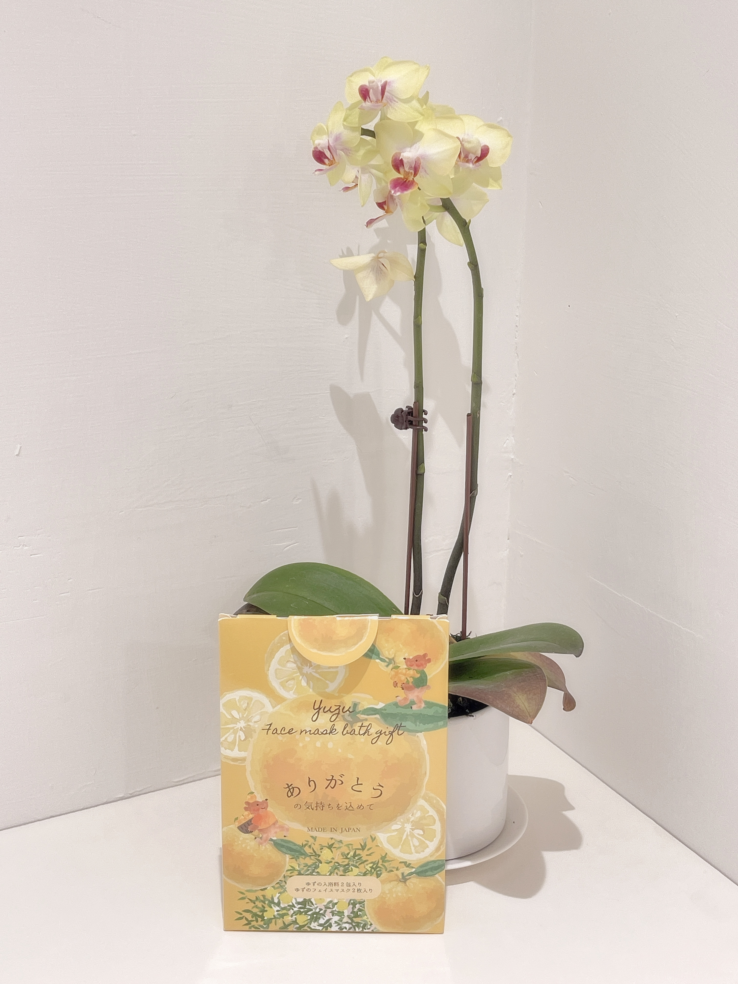 柚子面膜沐浴禮物