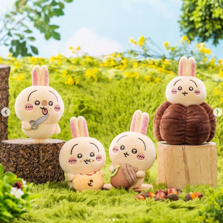 現貨-Chiikawa 兔兔 兔哥 Usagi Kuji 抽獎 一番賞- D獎 公仔-