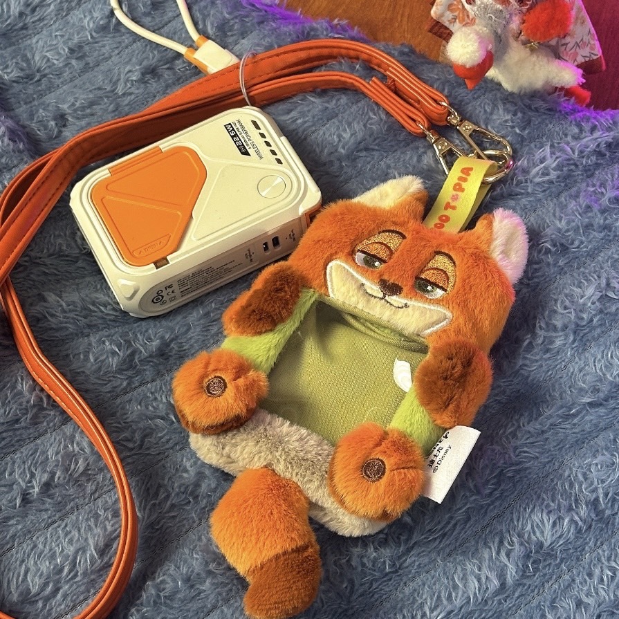 迪士尼 正版 動物方程式 可愛 百搭 毛絨絨 證件套 卡套/預購
