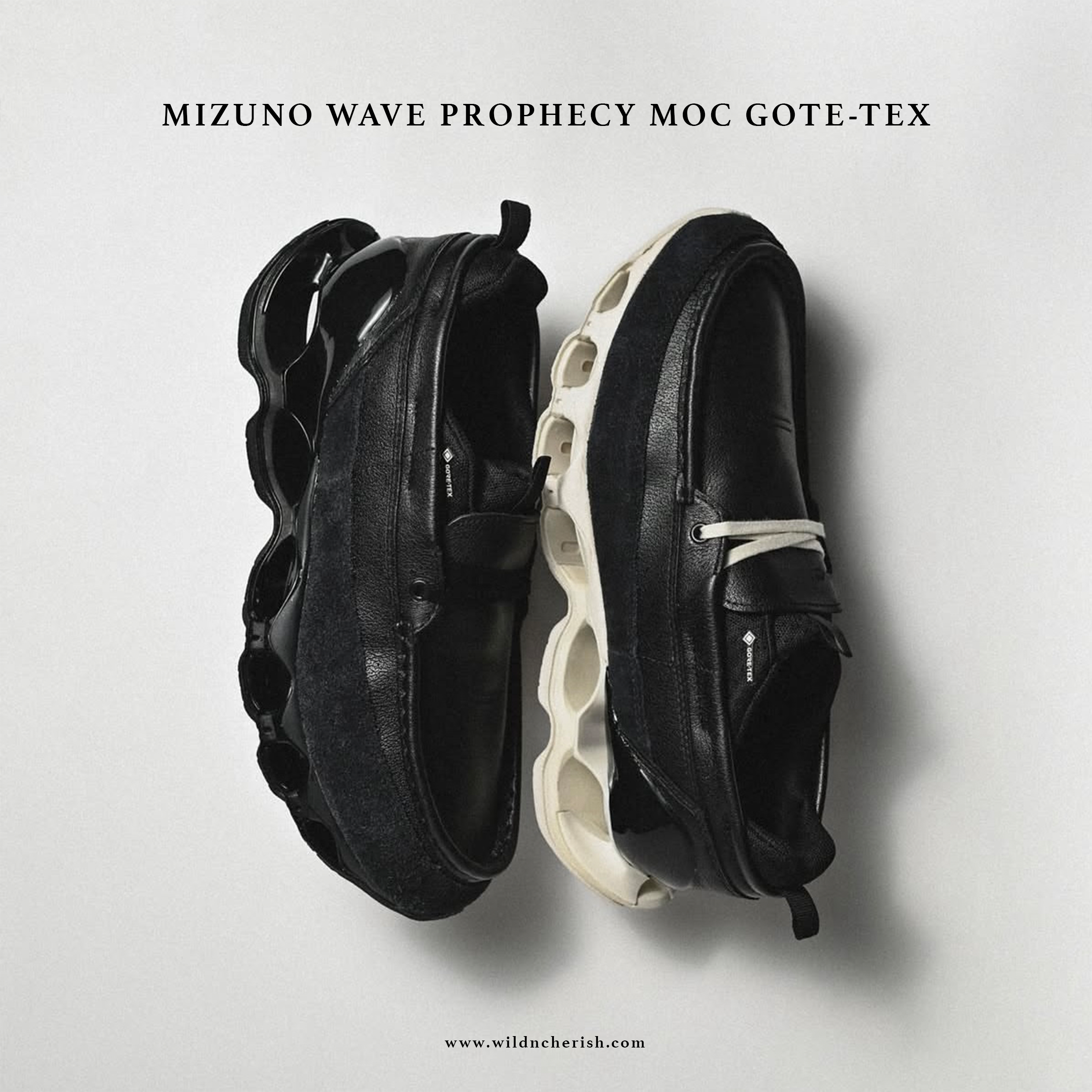 預訂| Mizuno Wave Prophecy Moc GORE-TEX
