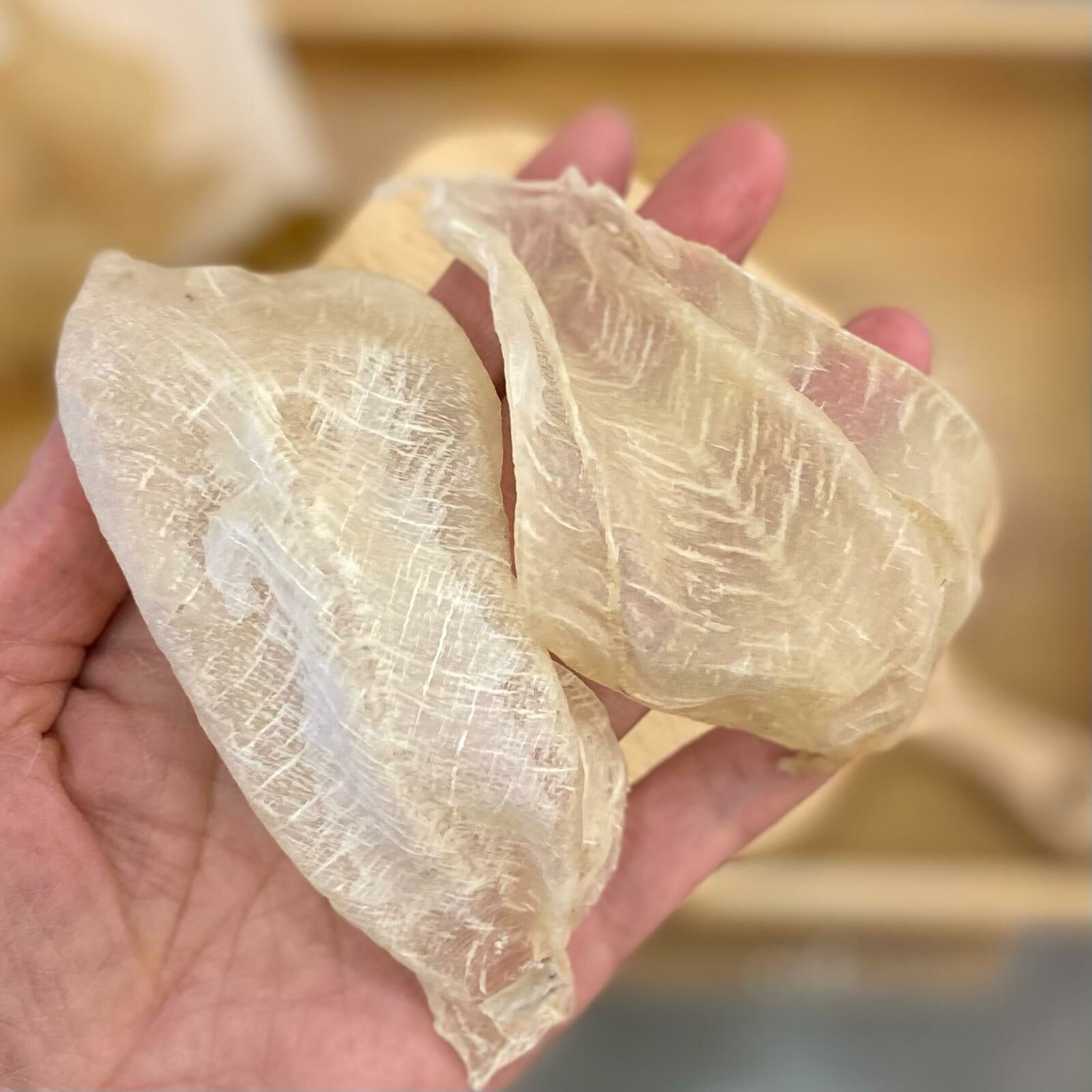 印度白花膠，（1 兩約3-4 隻）