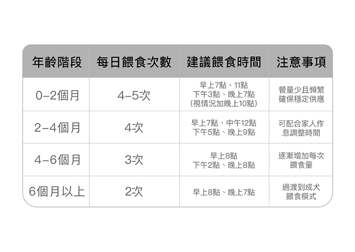 幼犬科學餵食時間表示意圖，顯示不同月齡幼犬的餵食次數、時間間隔和建議份量。